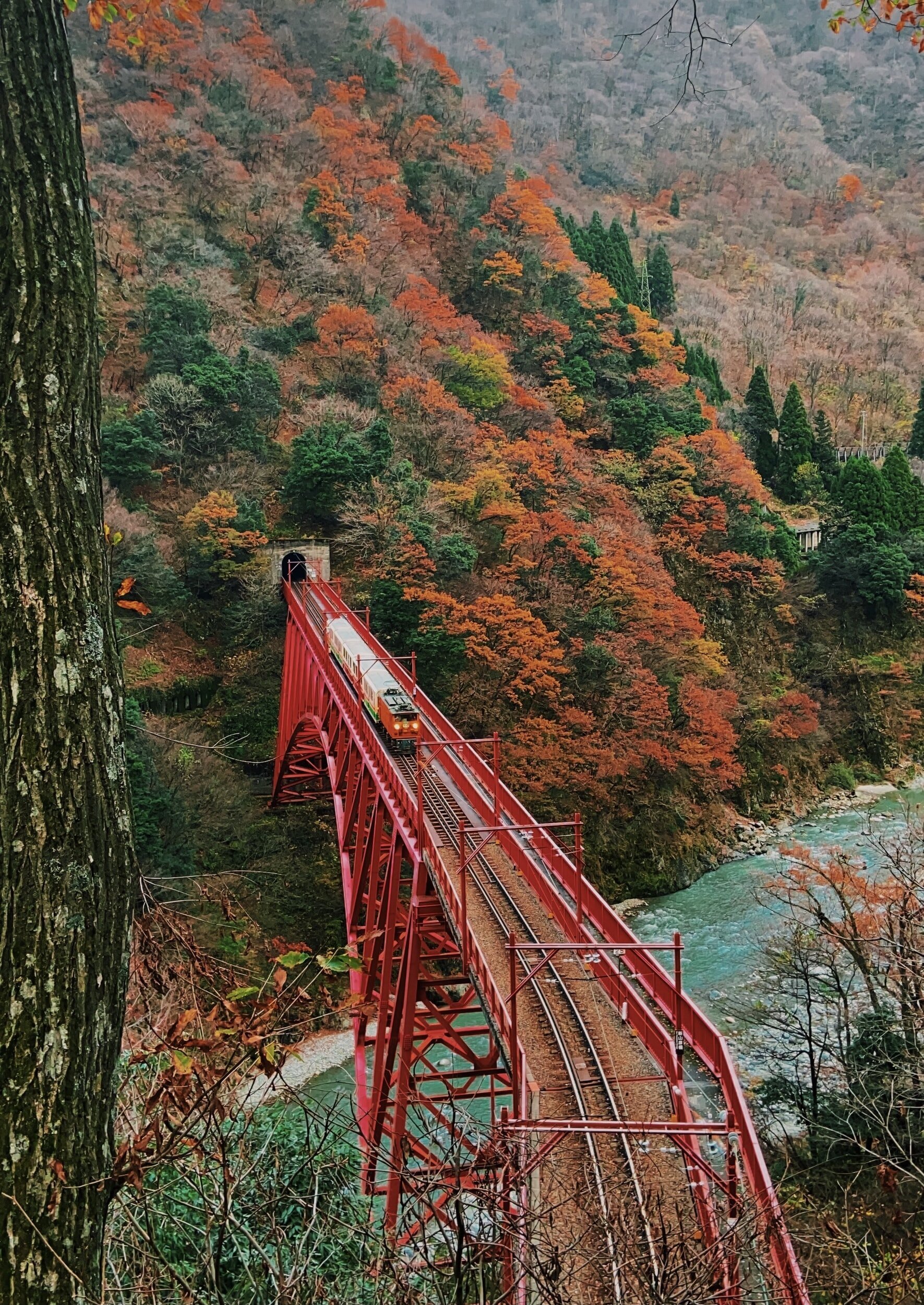 Japan Rail Pass (Copy)