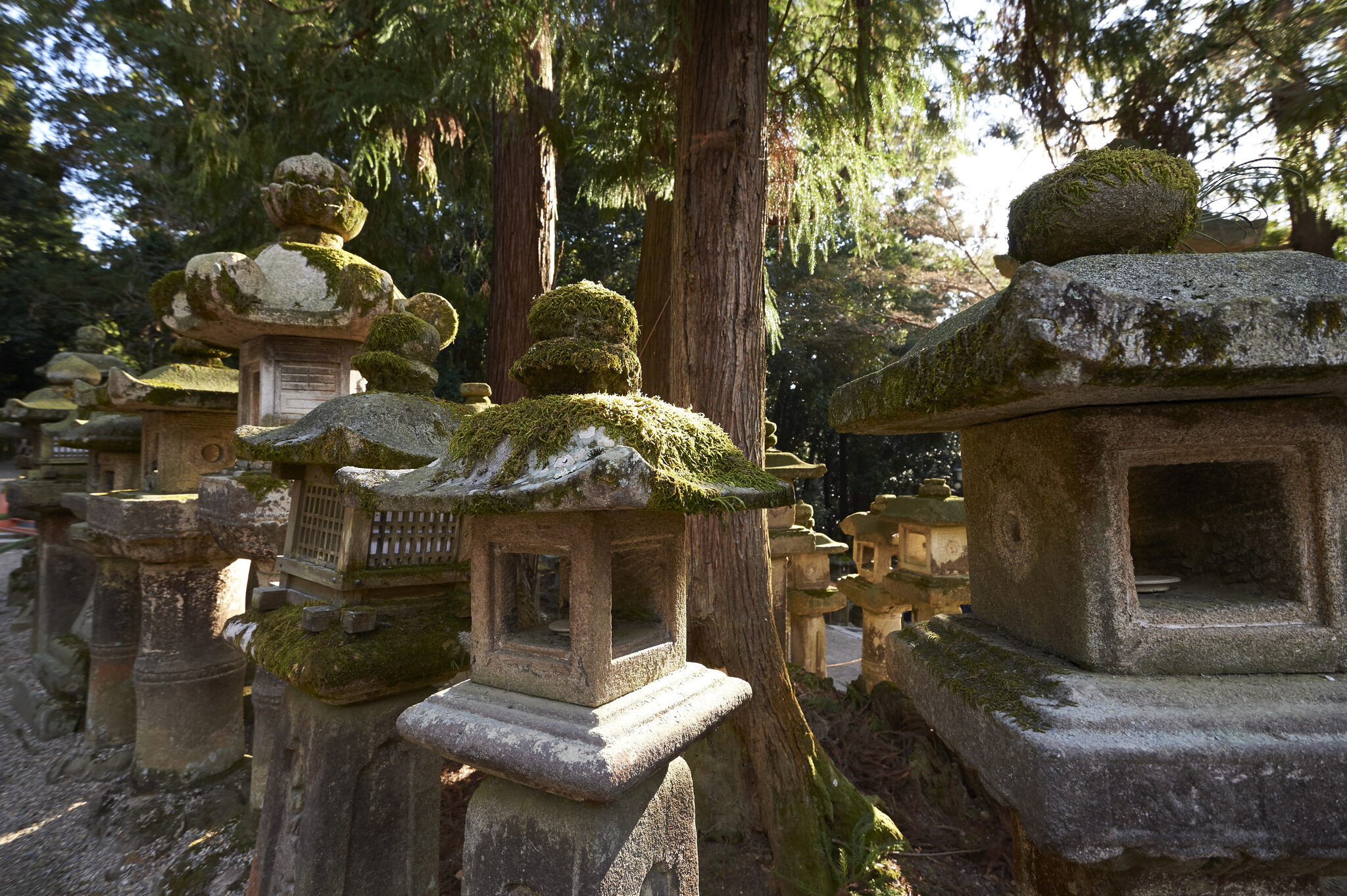 Kasuga-taisha Shrine