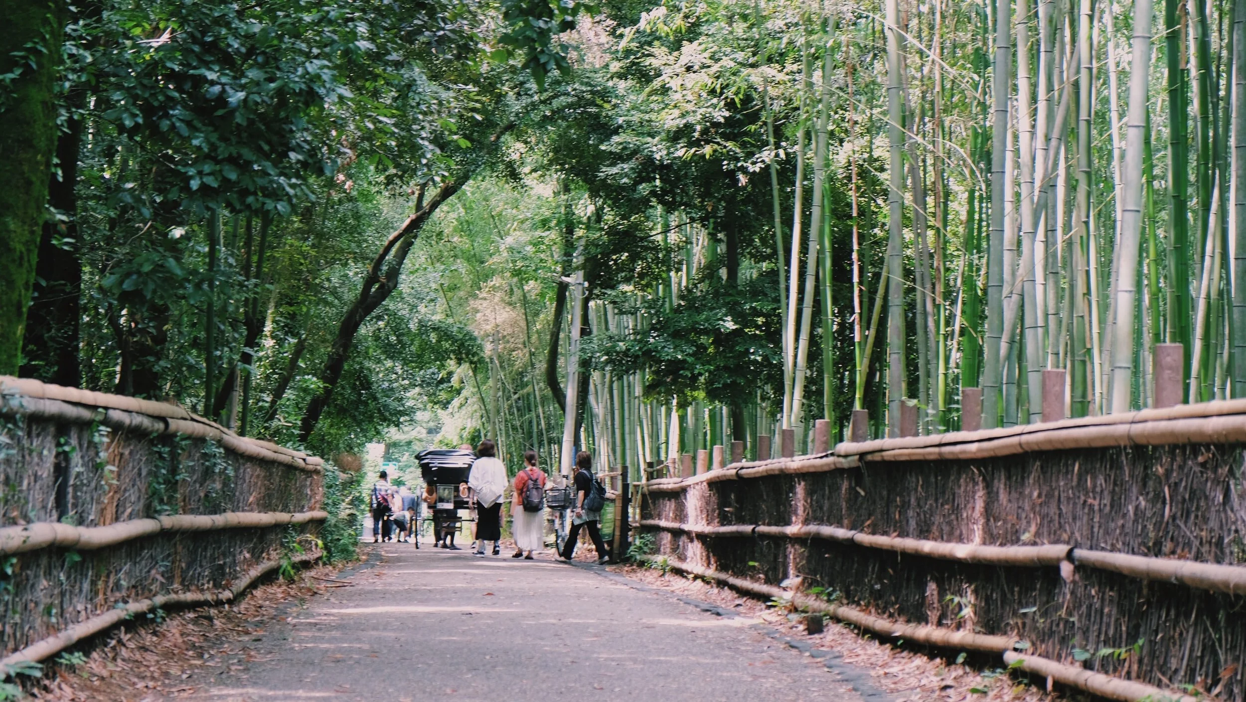 Spaser under bambustrærne i Arashiyama, Kyoto.