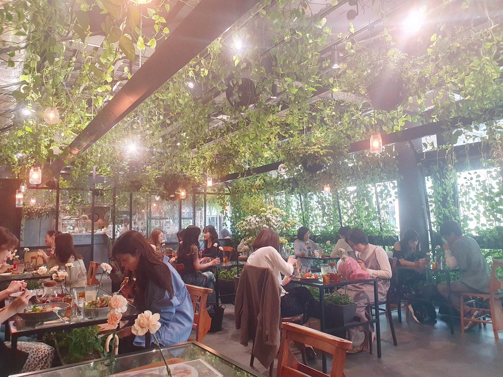 Aoyama Flower Market Tea House sitt design er inspirert av drivhus.