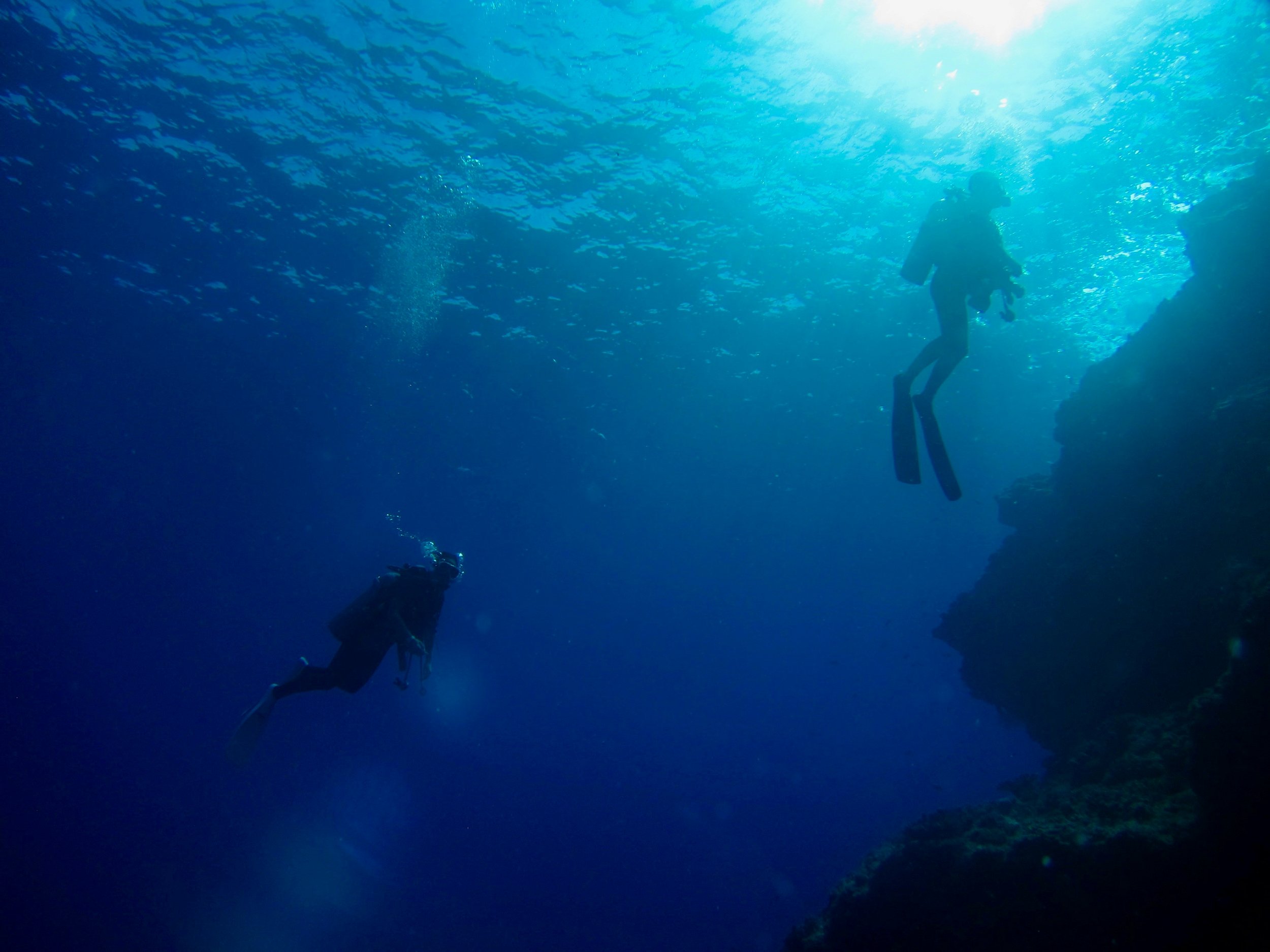  Discovery dives er en trygg måte å bli introdusert til dykkingens verden på. 