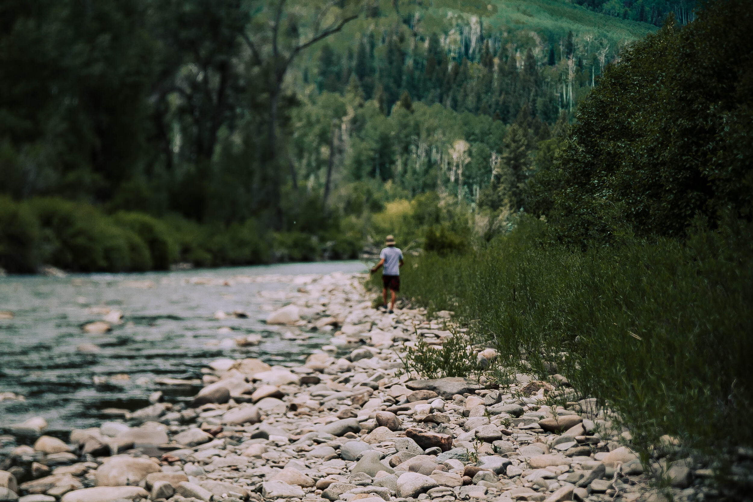 06-21 bear creek trail-6.jpg