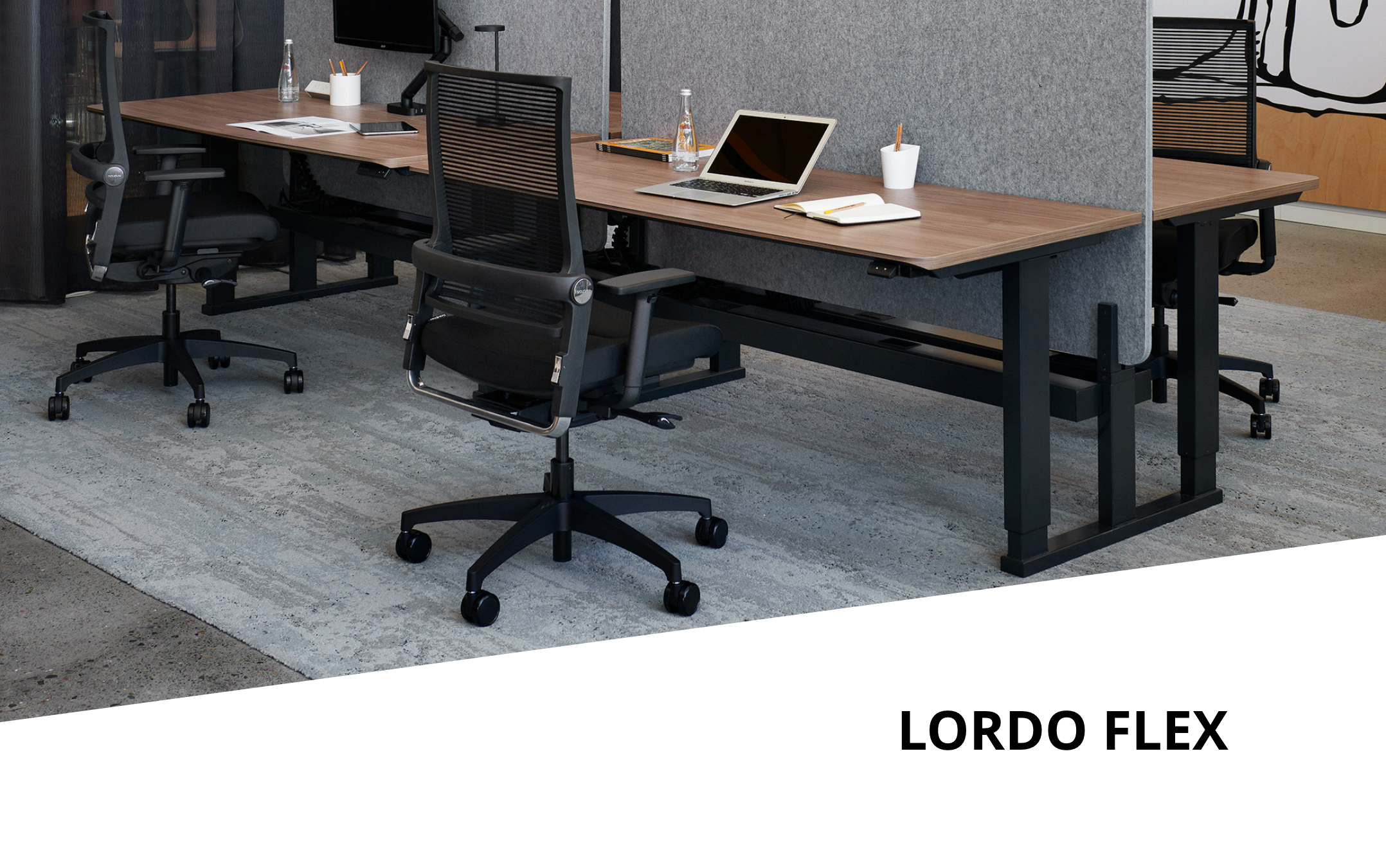 Lordo flex – ergonomischer Sitzkomfort zum Aktionspreis