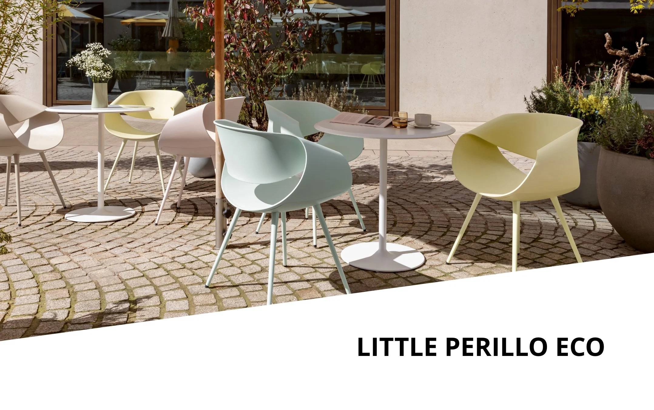 Little Perillo eco