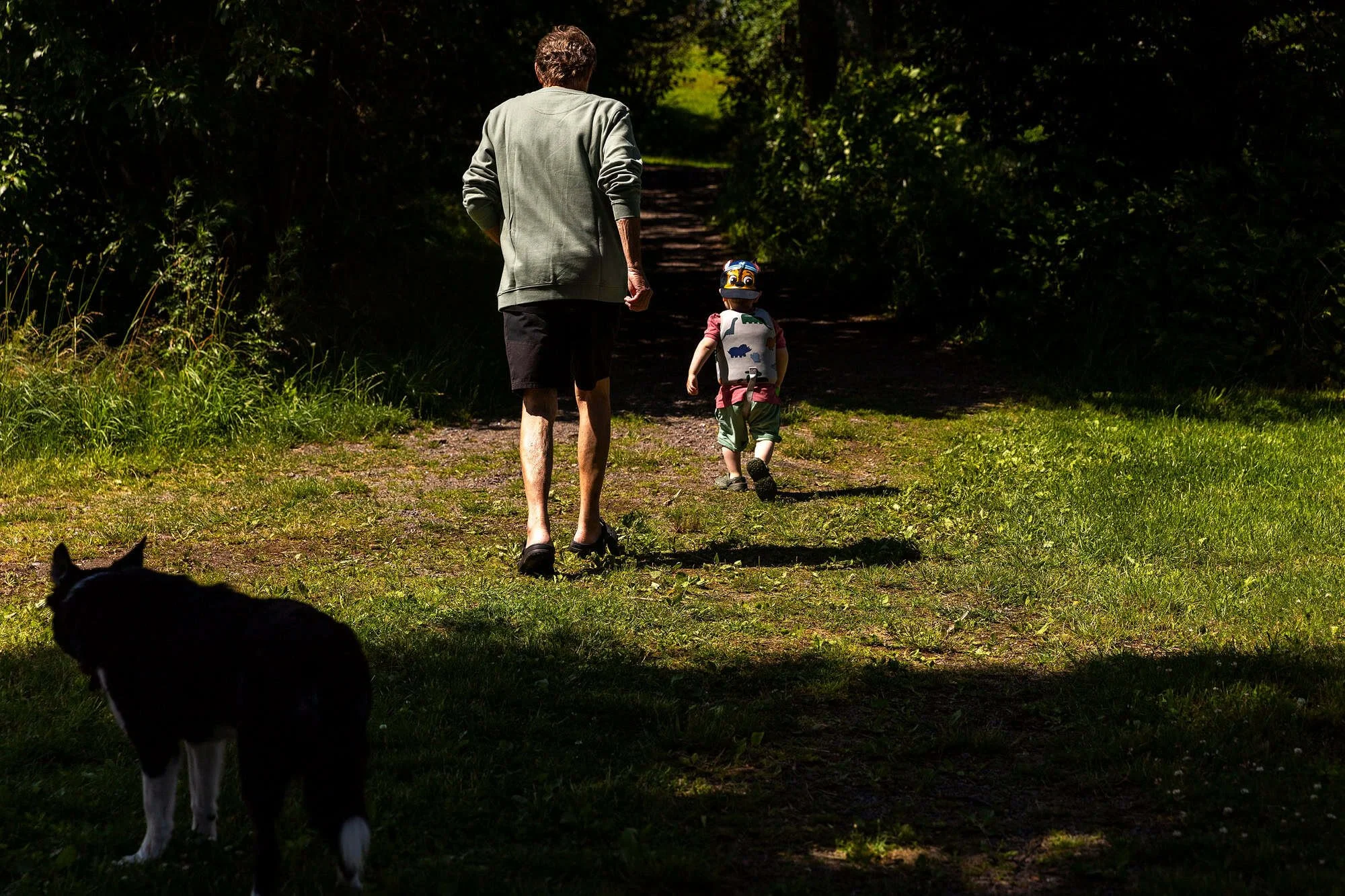 Bestefar og barnebarn går sammen på sti gjennom skogen