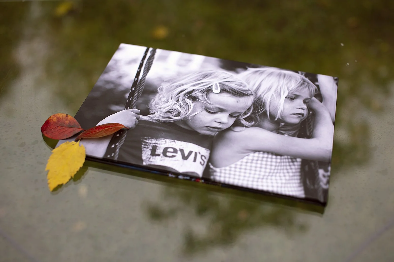 Baksiden av et fotoalbum pyntet med høstblader med bilde av et alvorlig søskenpar