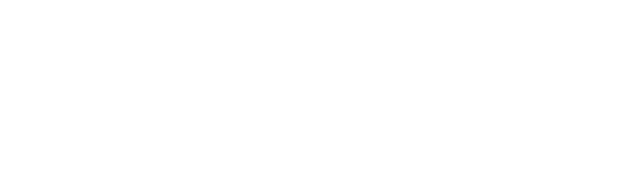 ICEJET