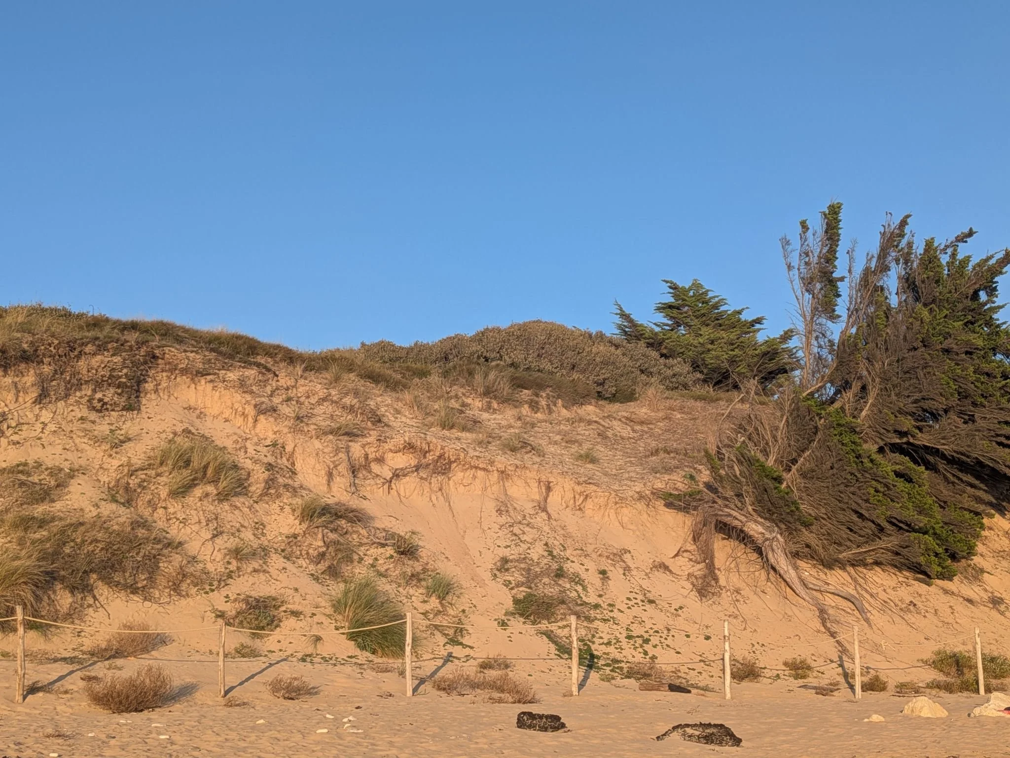 oleron2.jpg