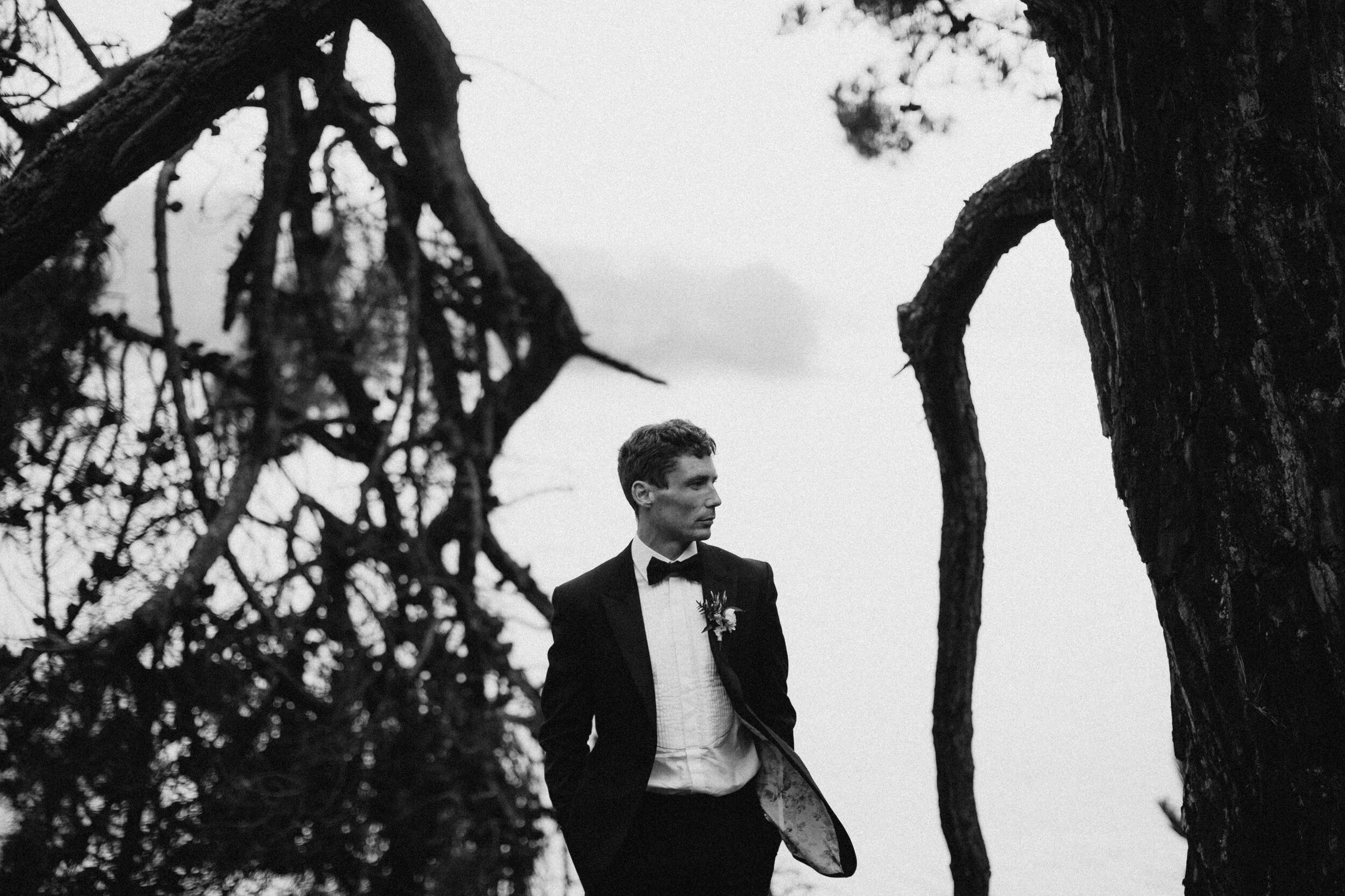 Male model Matt Sharman wearing a black tuxedo, white shirt and black bow tie in a Cornish forest for Fern Godfrey Weddings