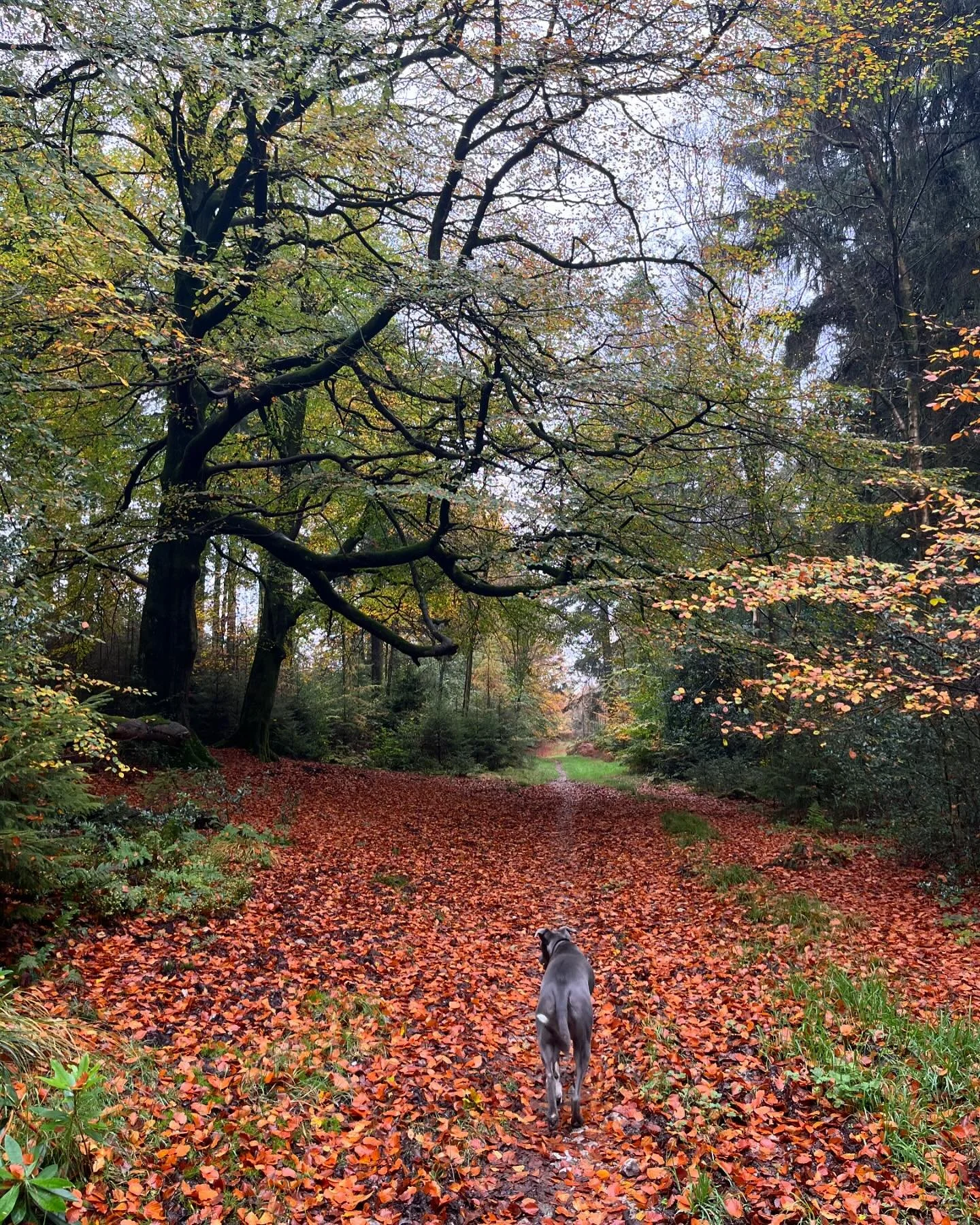 &ldquo;&lsquo;Slow&rsquo; and &lsquo;down&rsquo; are modes of the soul; they are connective modes, ways of keeping connected to oneself and to one&rsquo;s environment. &lsquo;Slowing downwards&rsquo; refers to more than simply moving slowly, it means