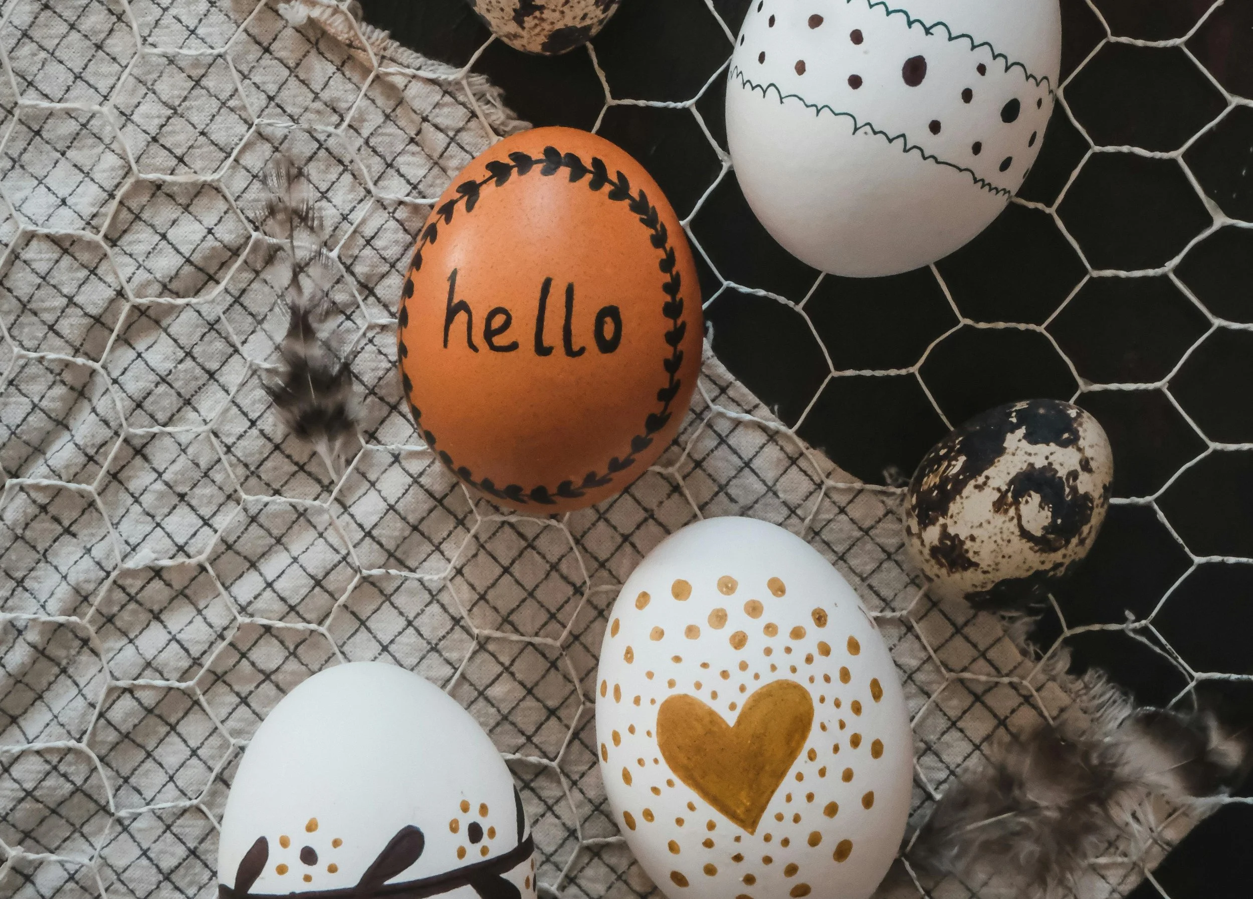 Eggs one with hello written on it