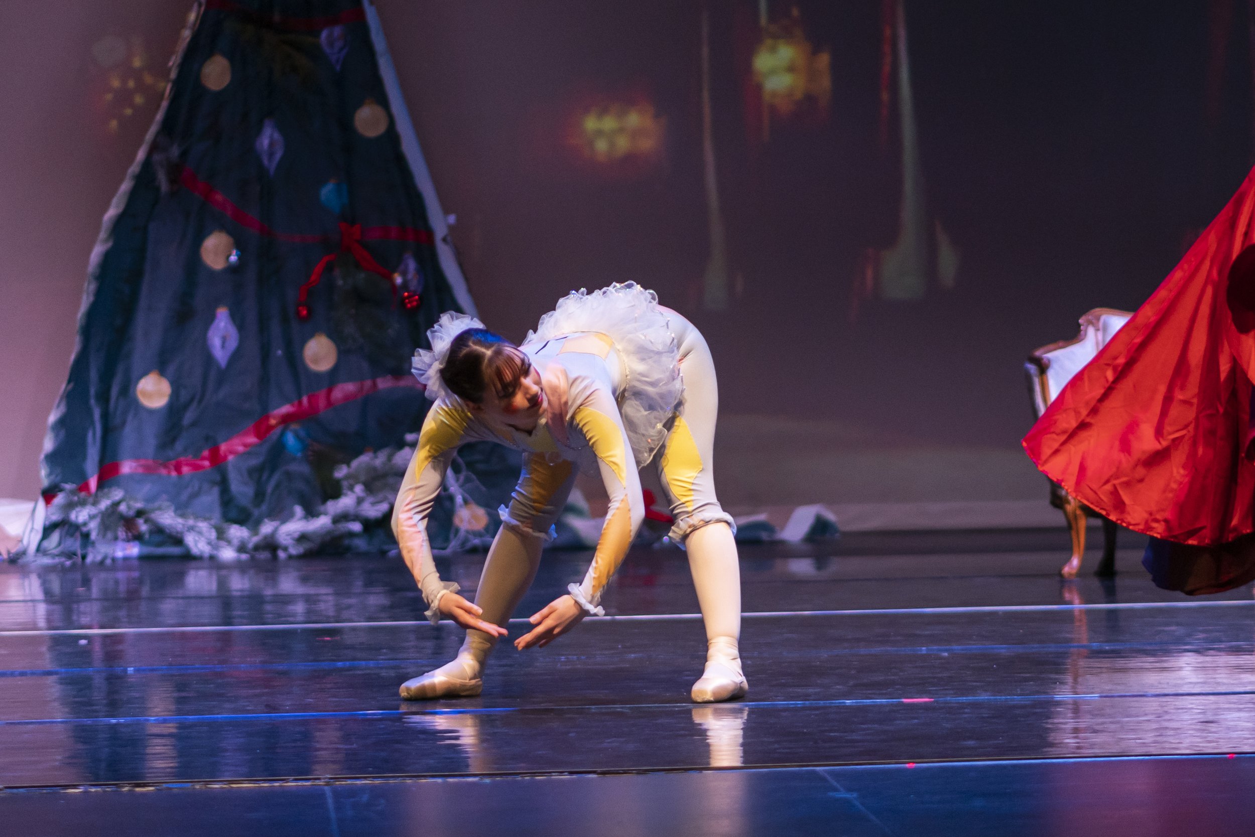 Nutcracker2021-29.jpg