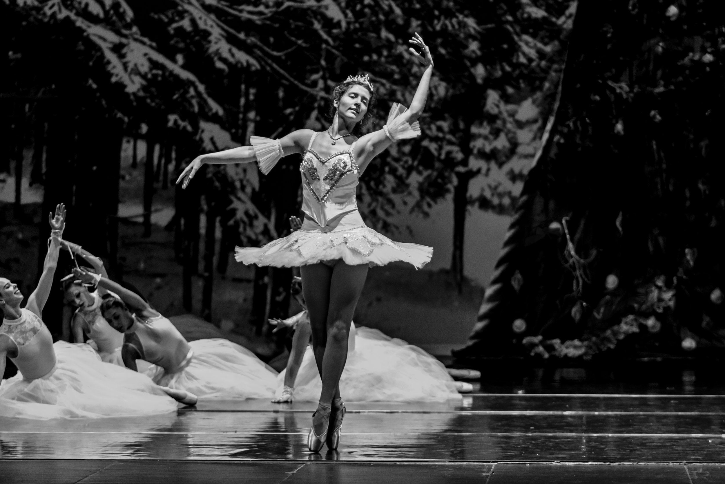 Nutcracker2021-83.jpg