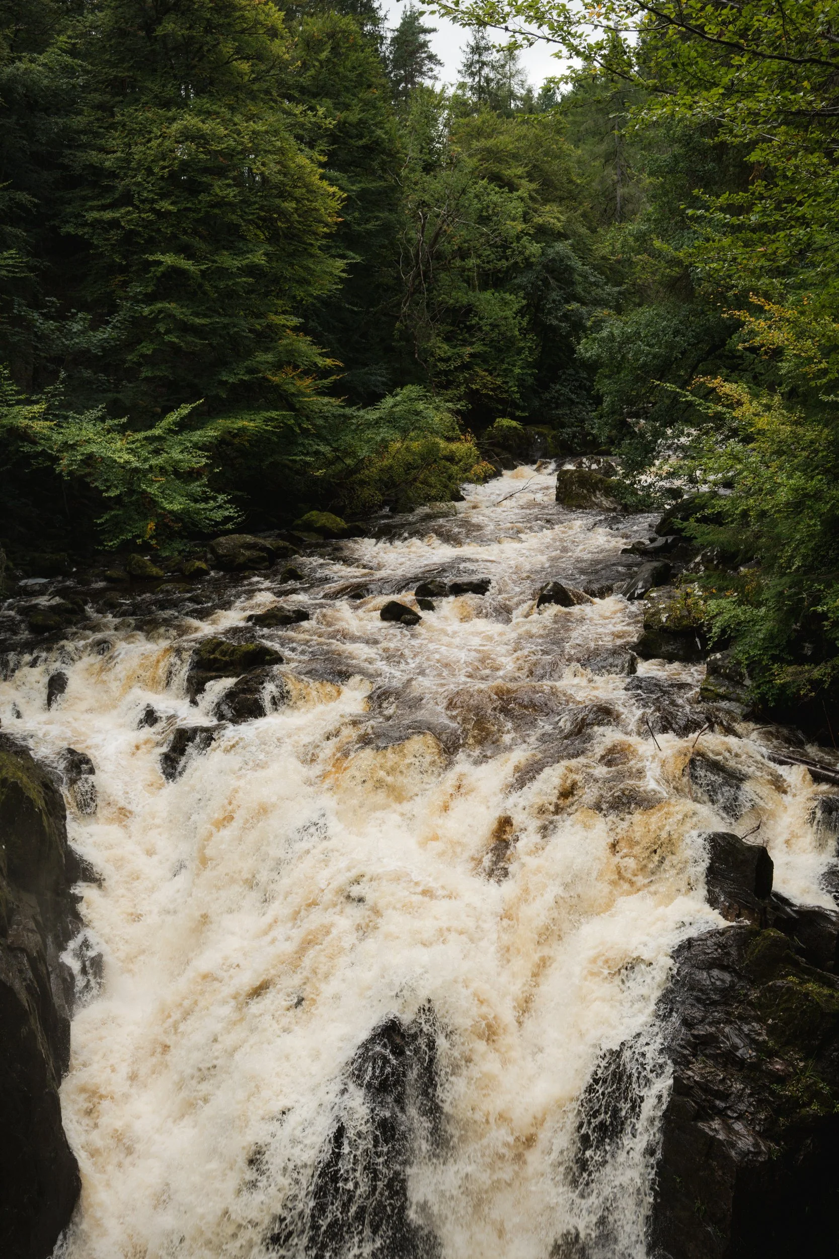 Patrice little Photography-091.jpg