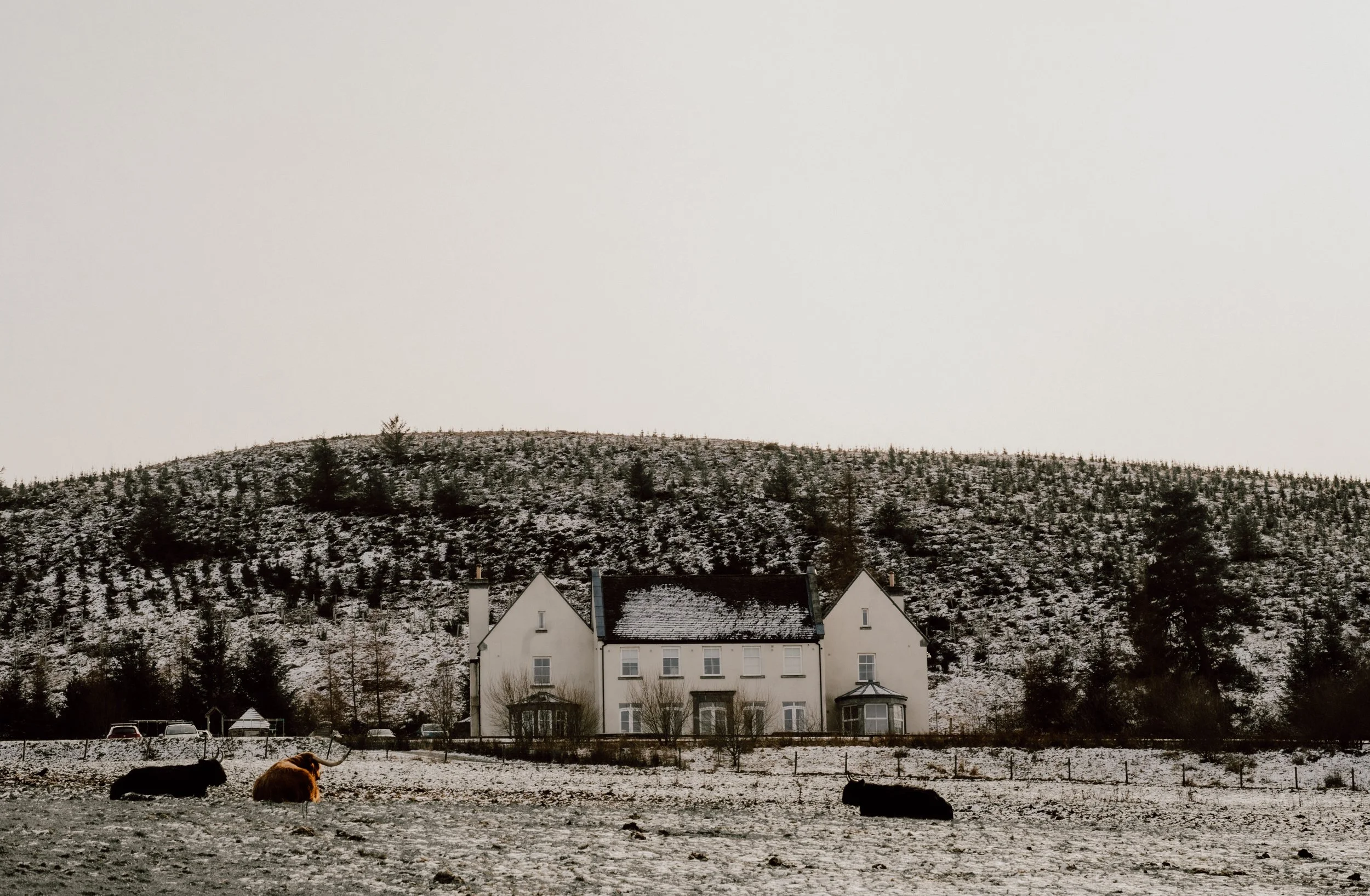 Patrice little photography-2.jpg