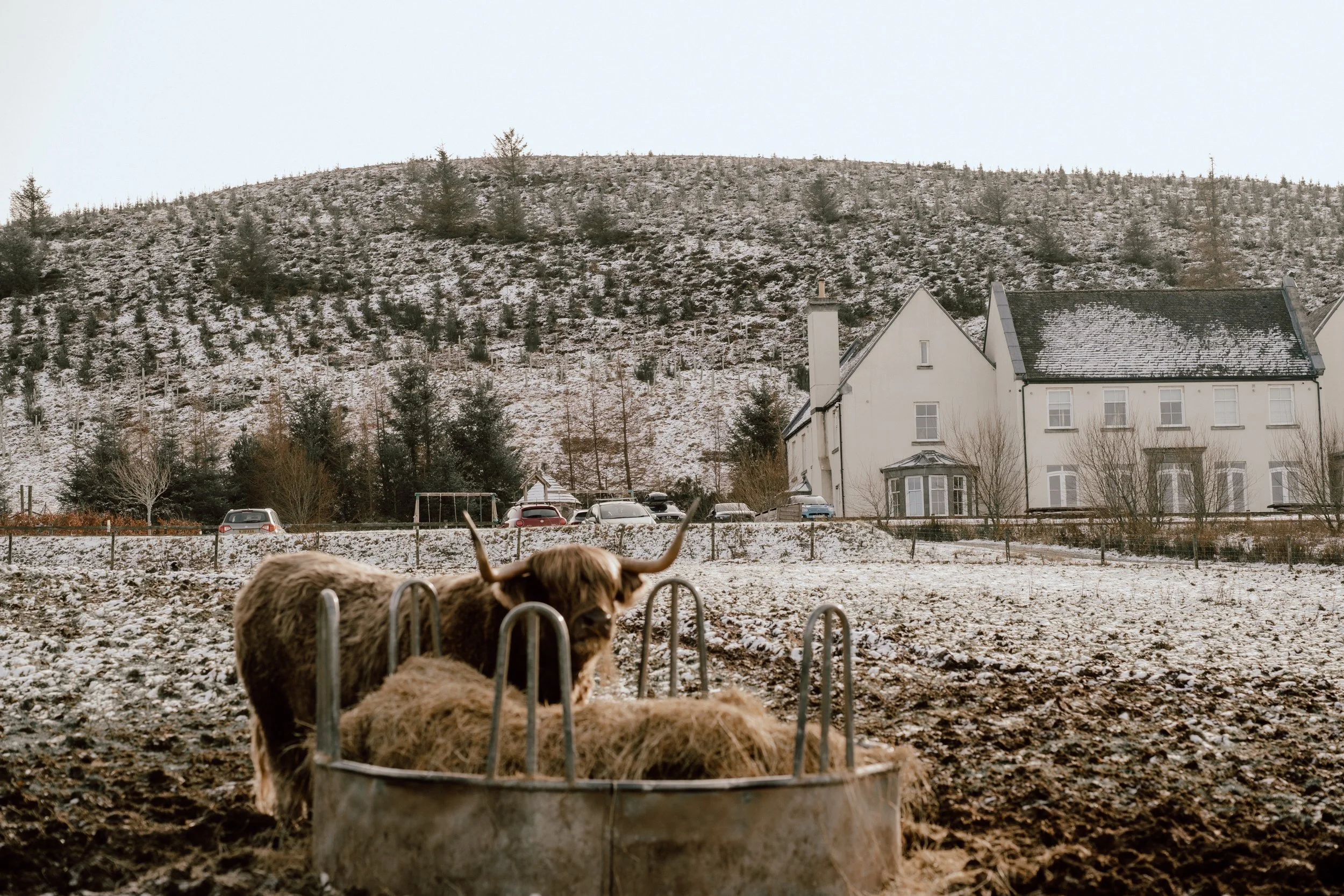 Patrice little photography-5.jpg