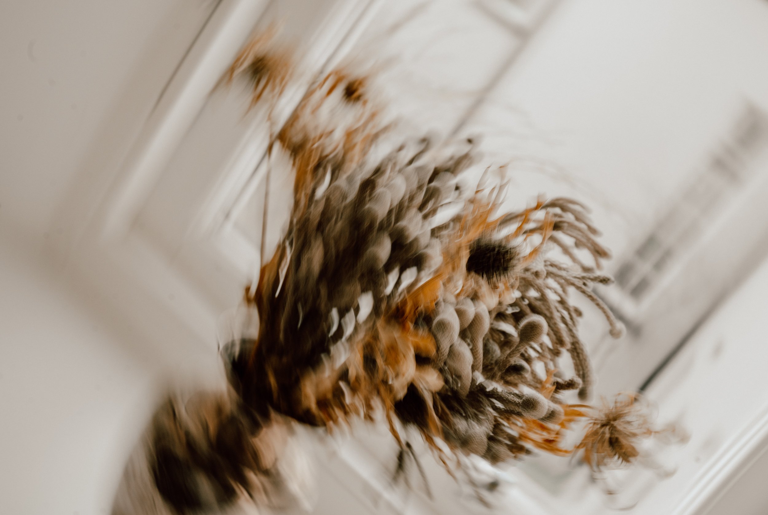 Patrice little photography-38.jpg