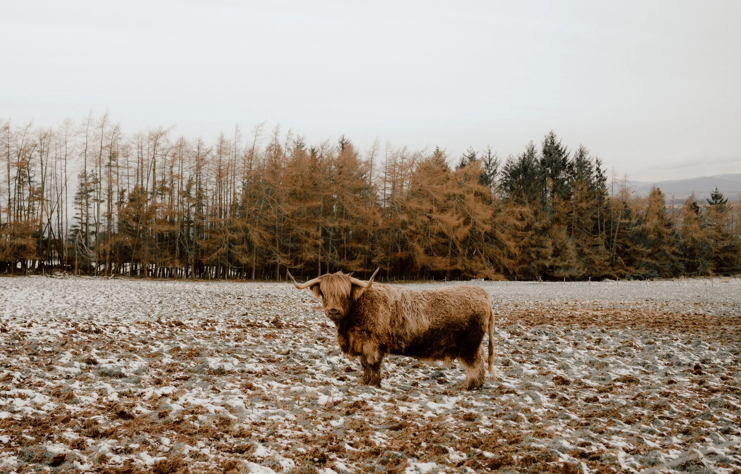 Patrice little photography-275.jpg