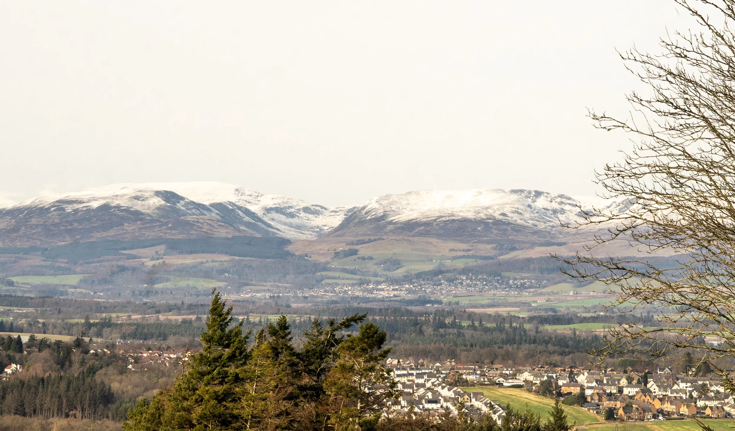 Patrice little photography.jpg