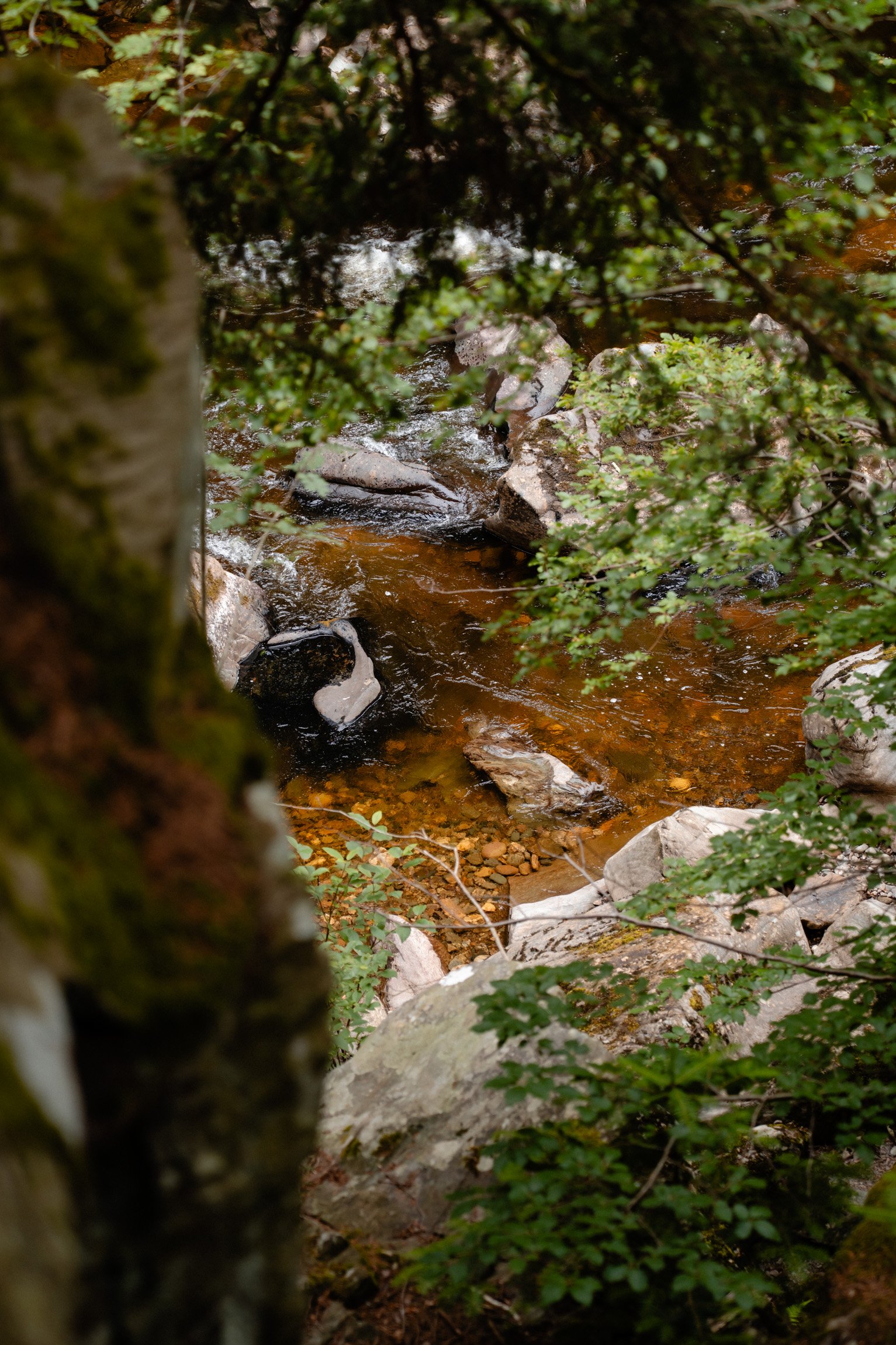 River and Woodland Scenery at The Hermitage, Scotland
