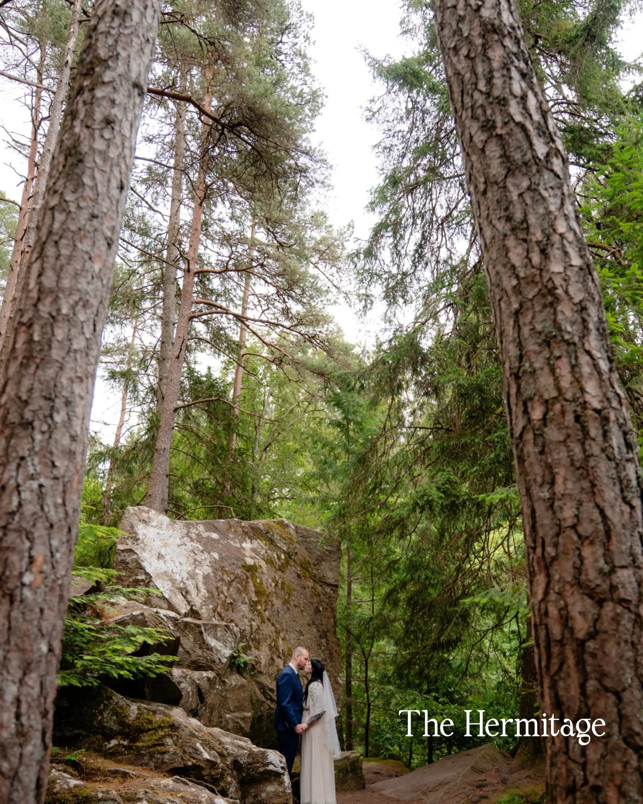 The Hermitage always feels a little unreal. 

This one was different, 

Towering trees, the sound of the river, pockets of soft light and that feeling of being completely tucked away from everything else.

For intimate weddings and elopements, this i