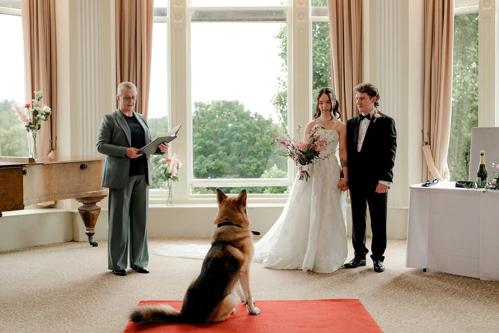 Bride and groom standing beside their celebrant during an intimate indoor wedding ceremony, watched by their German Shepherd.
