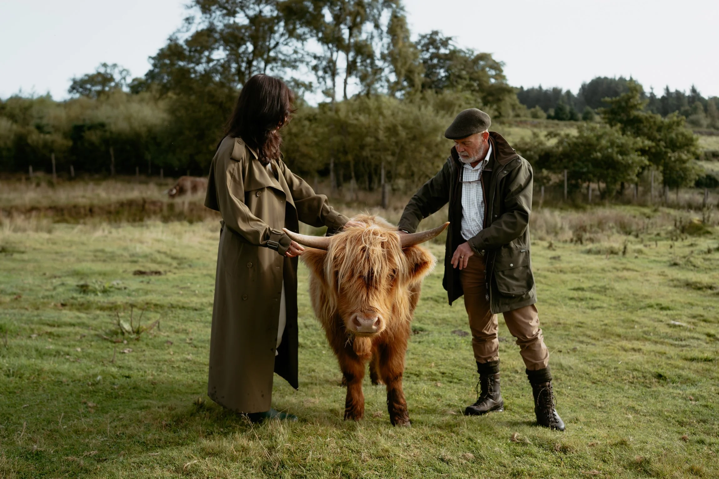 Patrice little photography-Highland cow-Gleneagles-83.jpg
