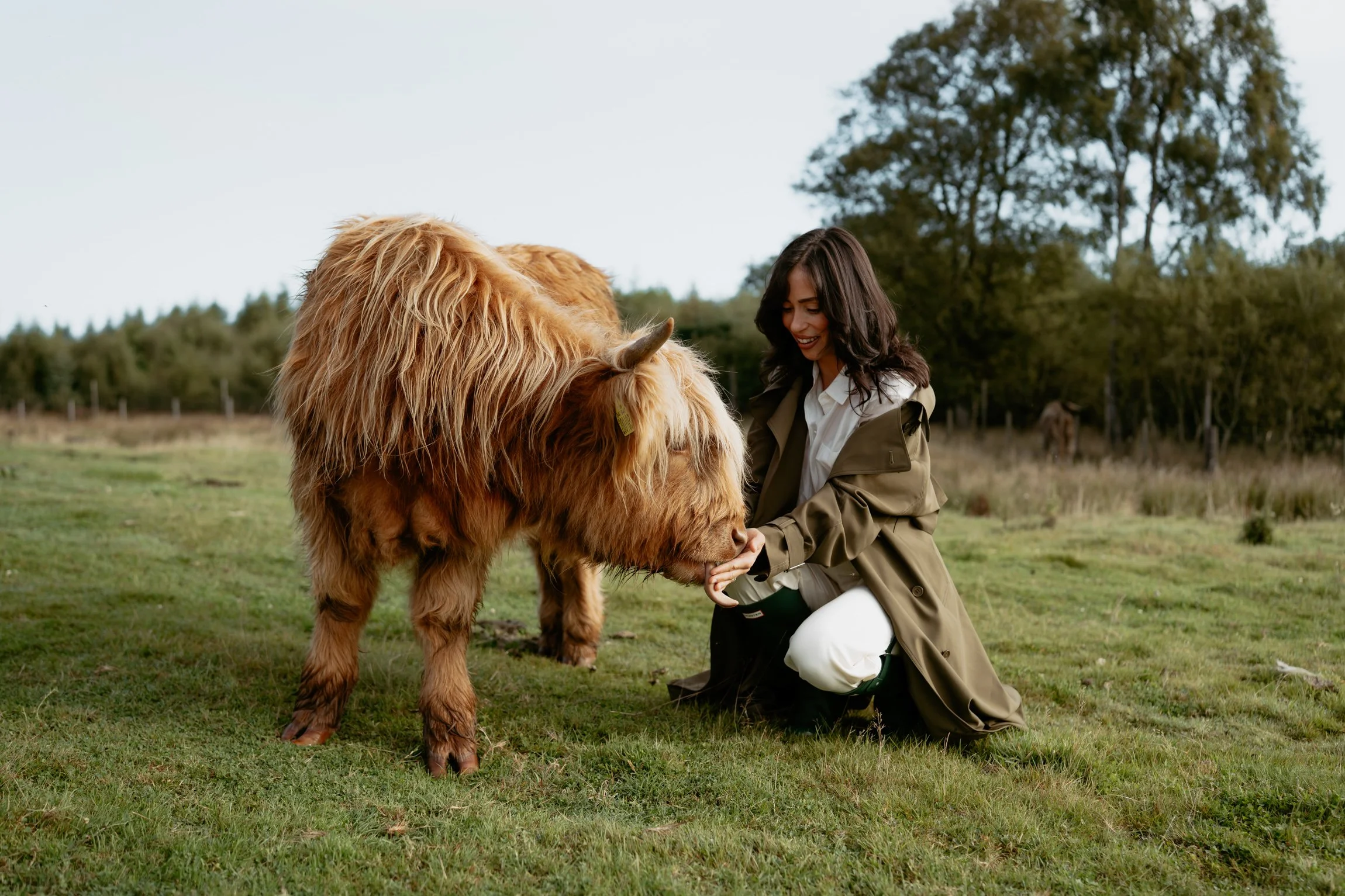 We Were Best Friends for a Day: A Highland Cow Experience at Gleneagles