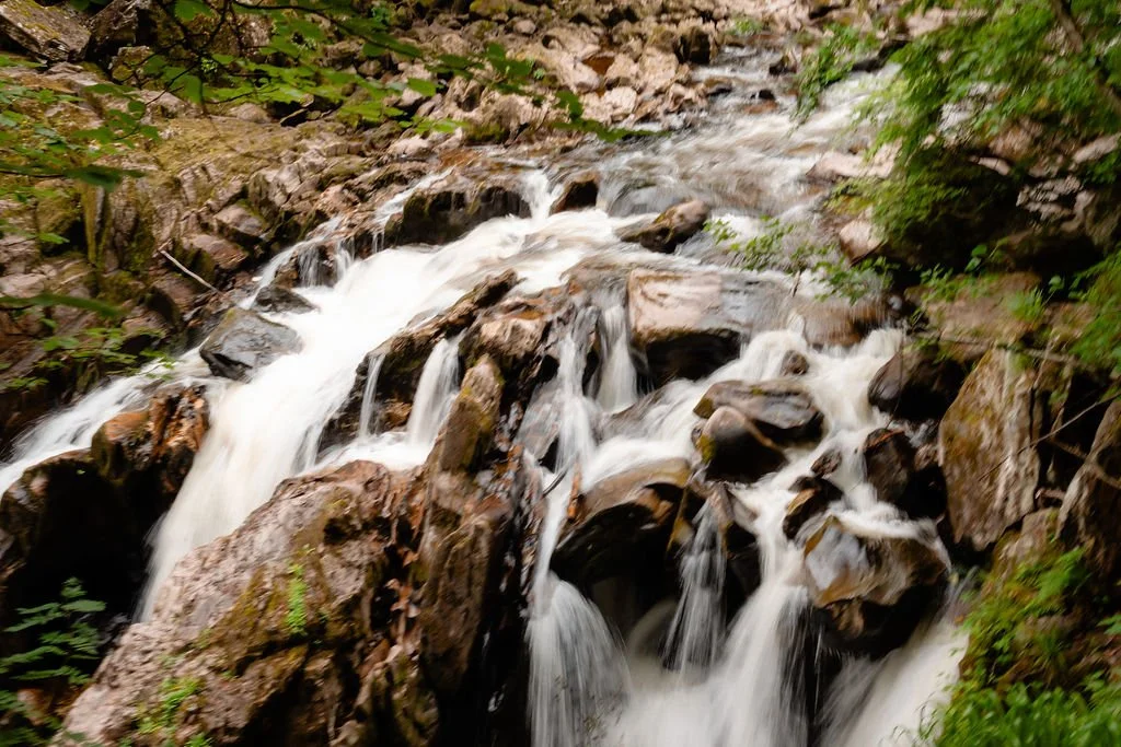 Black Linn Falls on the River Braan at The Hermitage, Perthshire, Scotland, cascading over rugged rocks surrounded by ancient woodland.