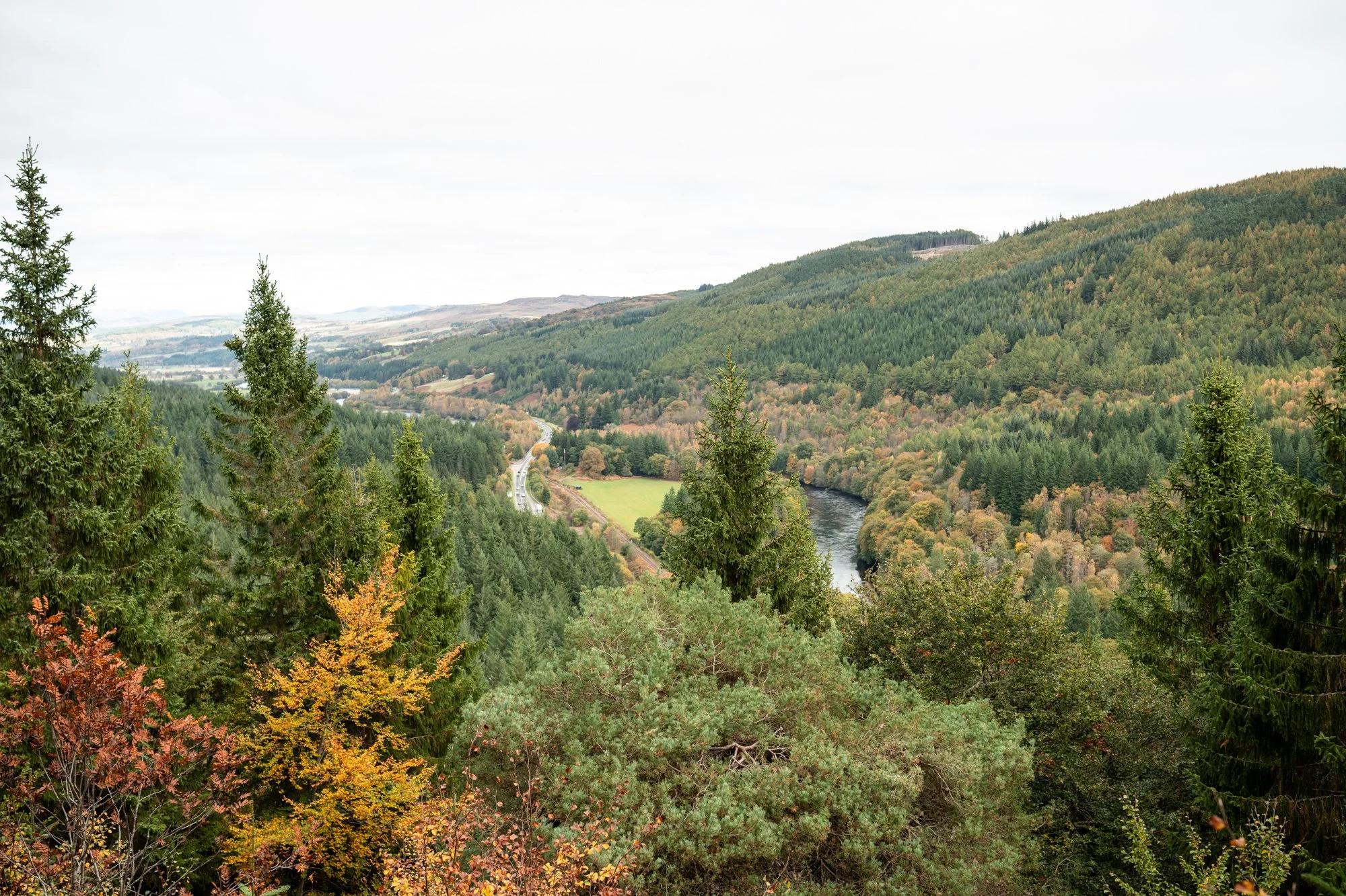 View from Pine Cone viewpoint at The Hermitage in Perthshire, surrounded by woodland and river scenery, perfect for natural engagement photography.