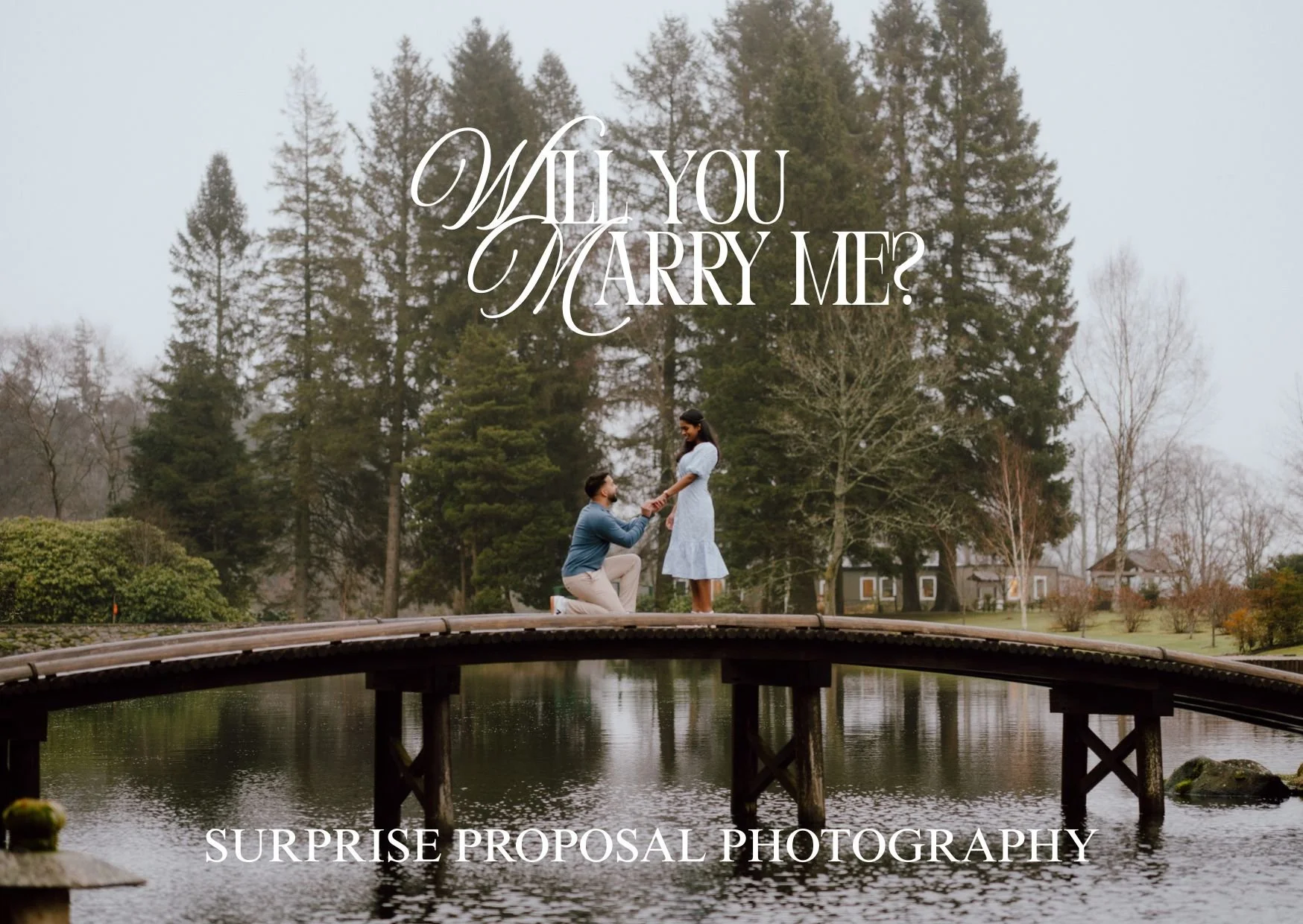 Surprise proposal at the bridge in Japanese gardens near cowden, dollar photographed by patrice little photography