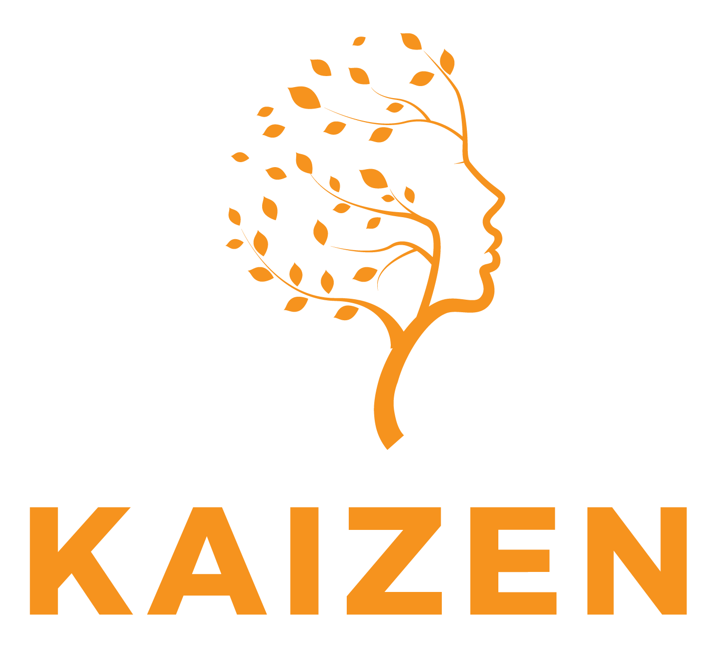 Kaizen · Ann Boonzaier · Clinical Psychologist · Melbourne