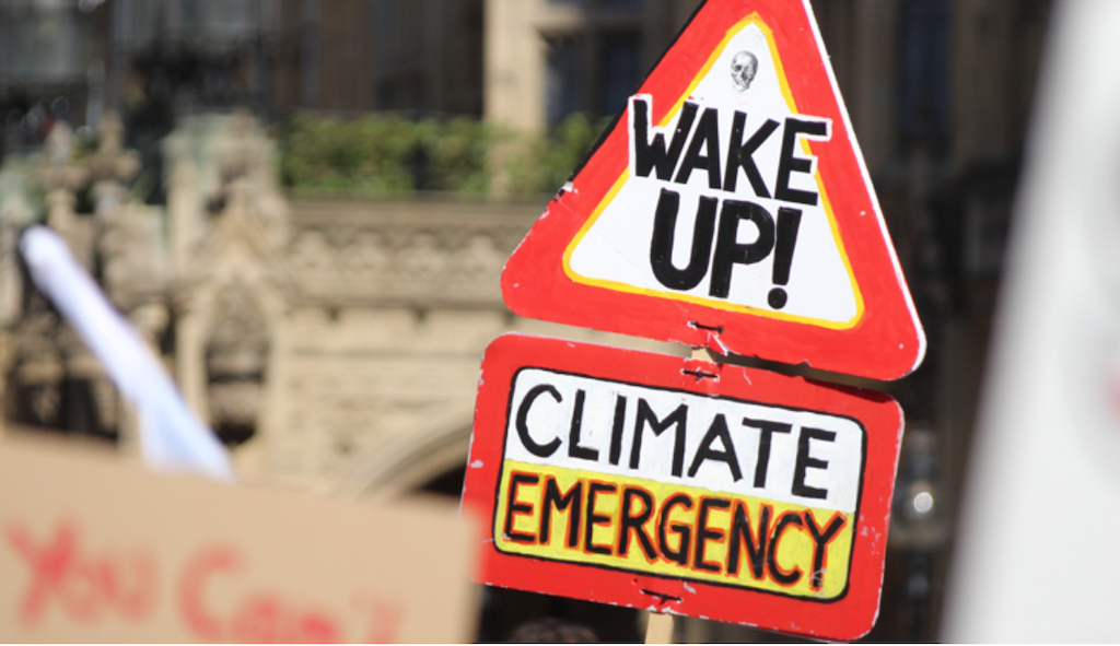 ADEPT urges government to recognise the critical role of local authorities in delivering net zero
