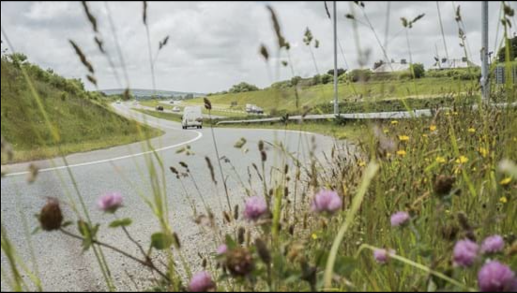 National Highways publishes net zero progress report