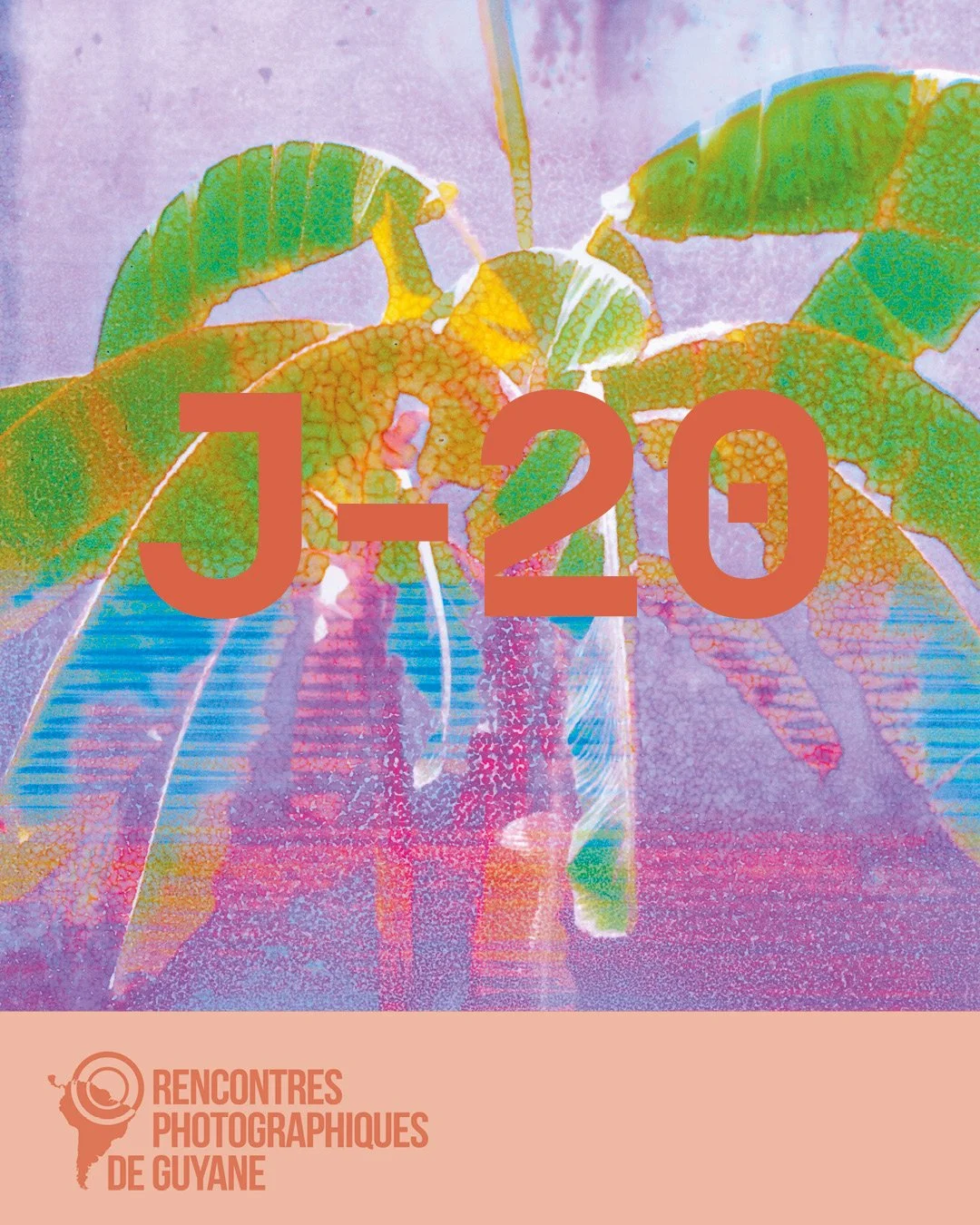 Dans Jardin des imaginaires, d&eacute;couvrez six artistes d&rsquo;Am&eacute;rique du sud et d&rsquo;ailleurs qui r&eacute;inventent nos visions du monde &agrave; travers plantes, mythes et cycles naturels, pour imaginer d&rsquo;autres mani&egrave;re