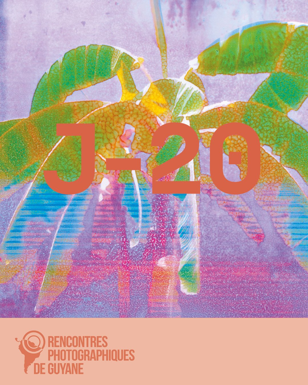 Dans Jardin des imaginaires, d&eacute;couvrez six artistes d&rsquo;Am&eacute;rique du sud et d&rsquo;ailleurs qui r&eacute;inventent nos visions du monde &agrave; travers plantes, mythes et cycles naturels, pour imaginer d&rsquo;autres mani&egrave;re