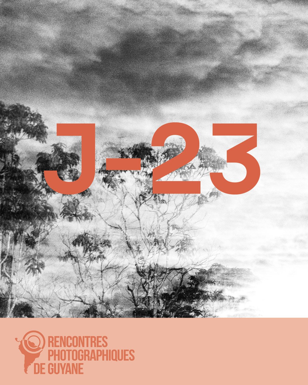 D&eacute;couvrez An Mitan Granbwa, une exposition n&eacute;e d&rsquo;une immersion au c&oelig;ur de la for&ecirc;t guadeloup&eacute;enne, o&ugrave; les artistes, explorent le dialogue vivant entre corps, paysage et m&eacute;moire.

📷 Exposition An M
