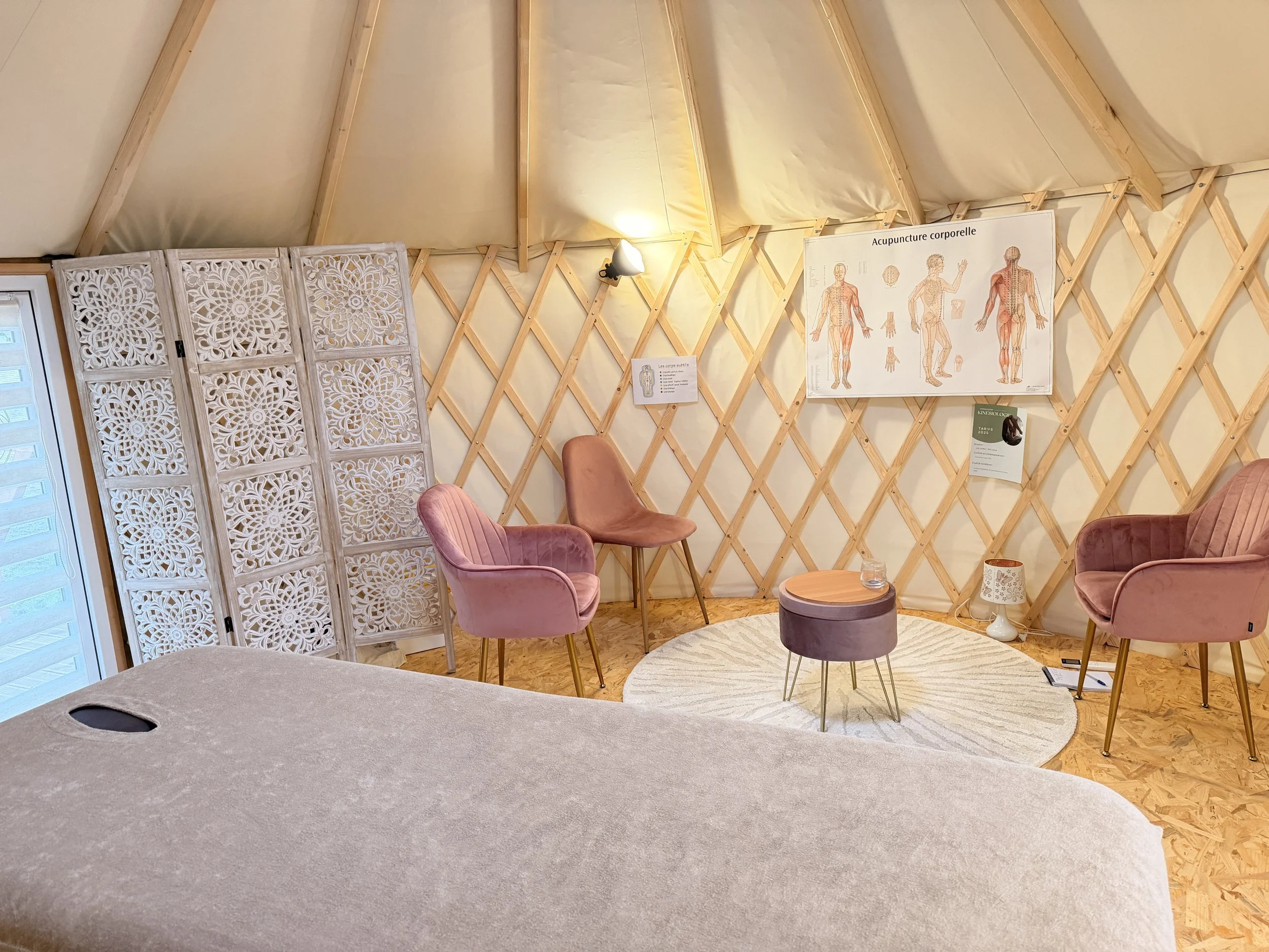 consultation en kinésiologie