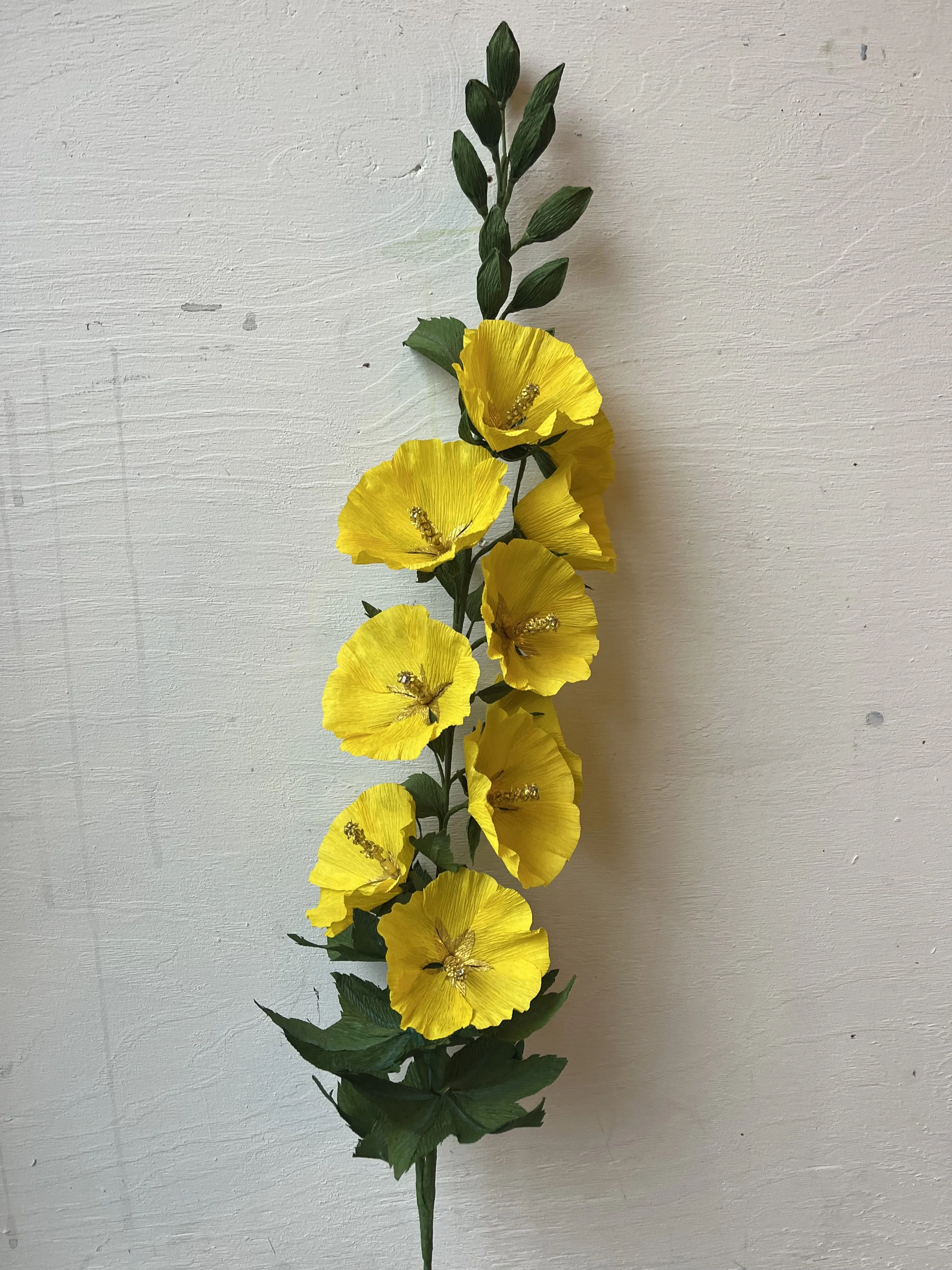 Paper yellow hibiscus flowers with green leaves by Emmeli Kimhi on a white wall background.