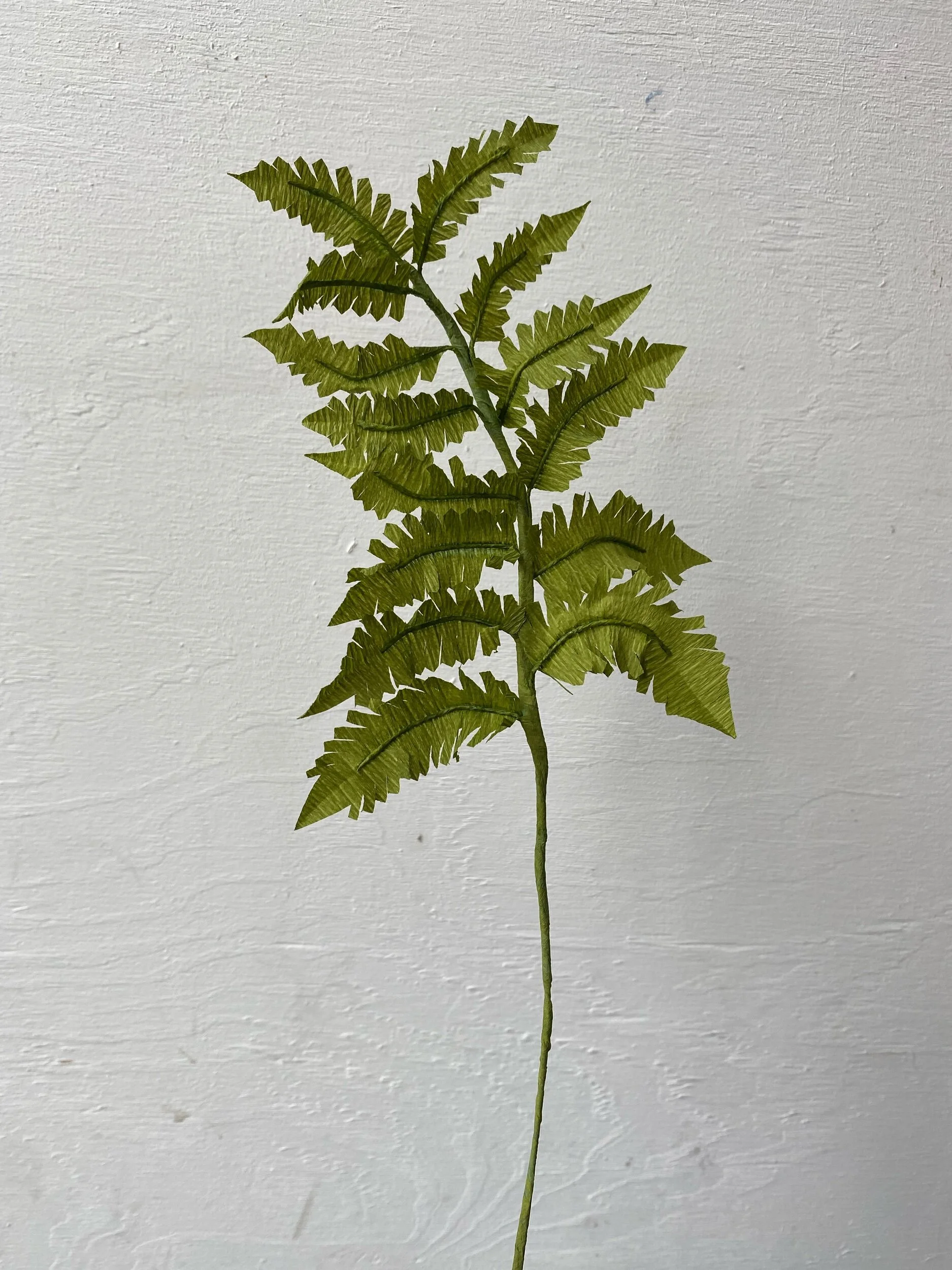 A green, artificial fern leaf by Emmeli Kimhi with jagged edges, mounted on a white textured wall.