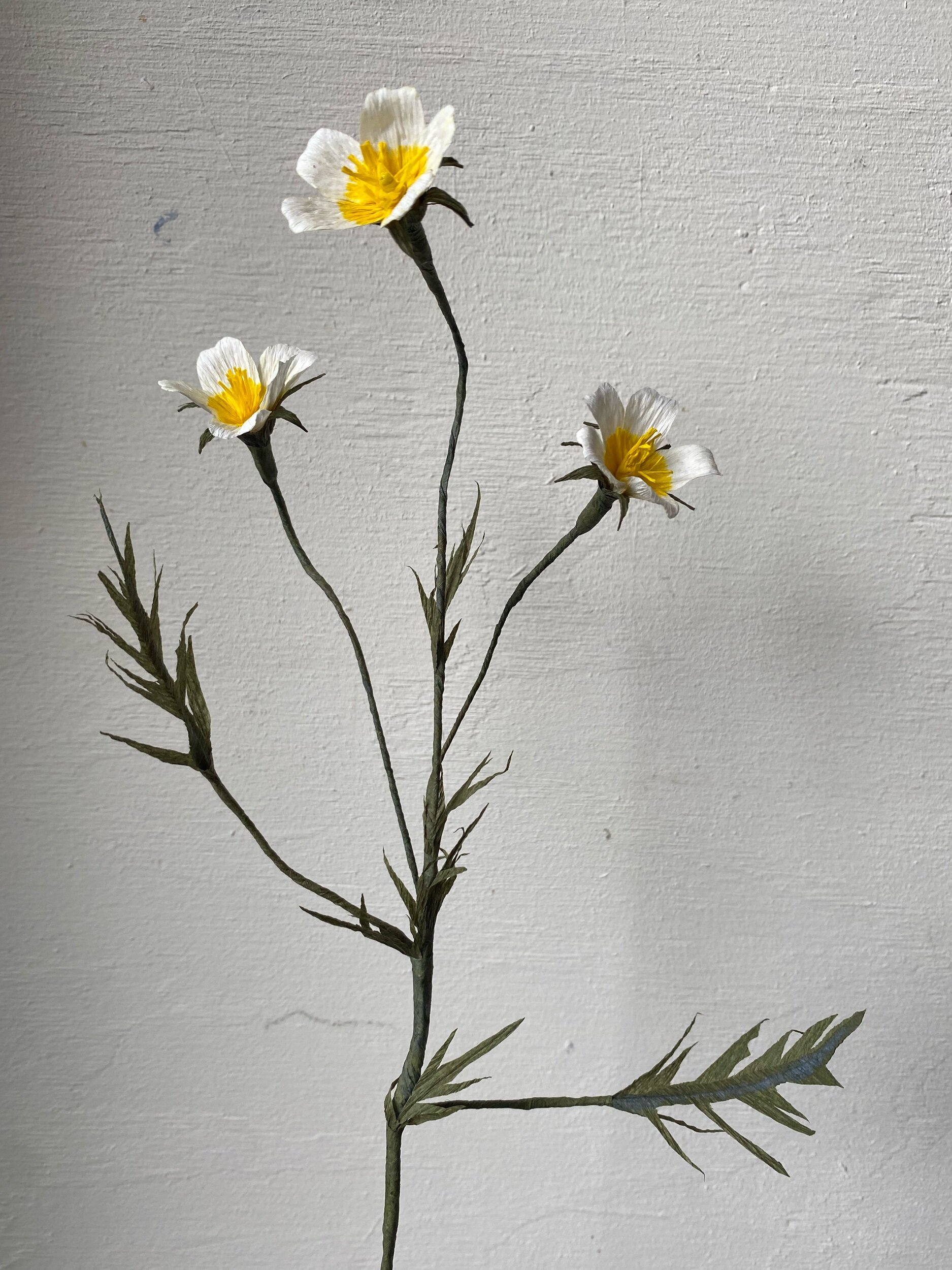 A single dried, artificial white flower with yellow center and green leaves on a stem by Emmeli Kimhi, against a plain white wall.