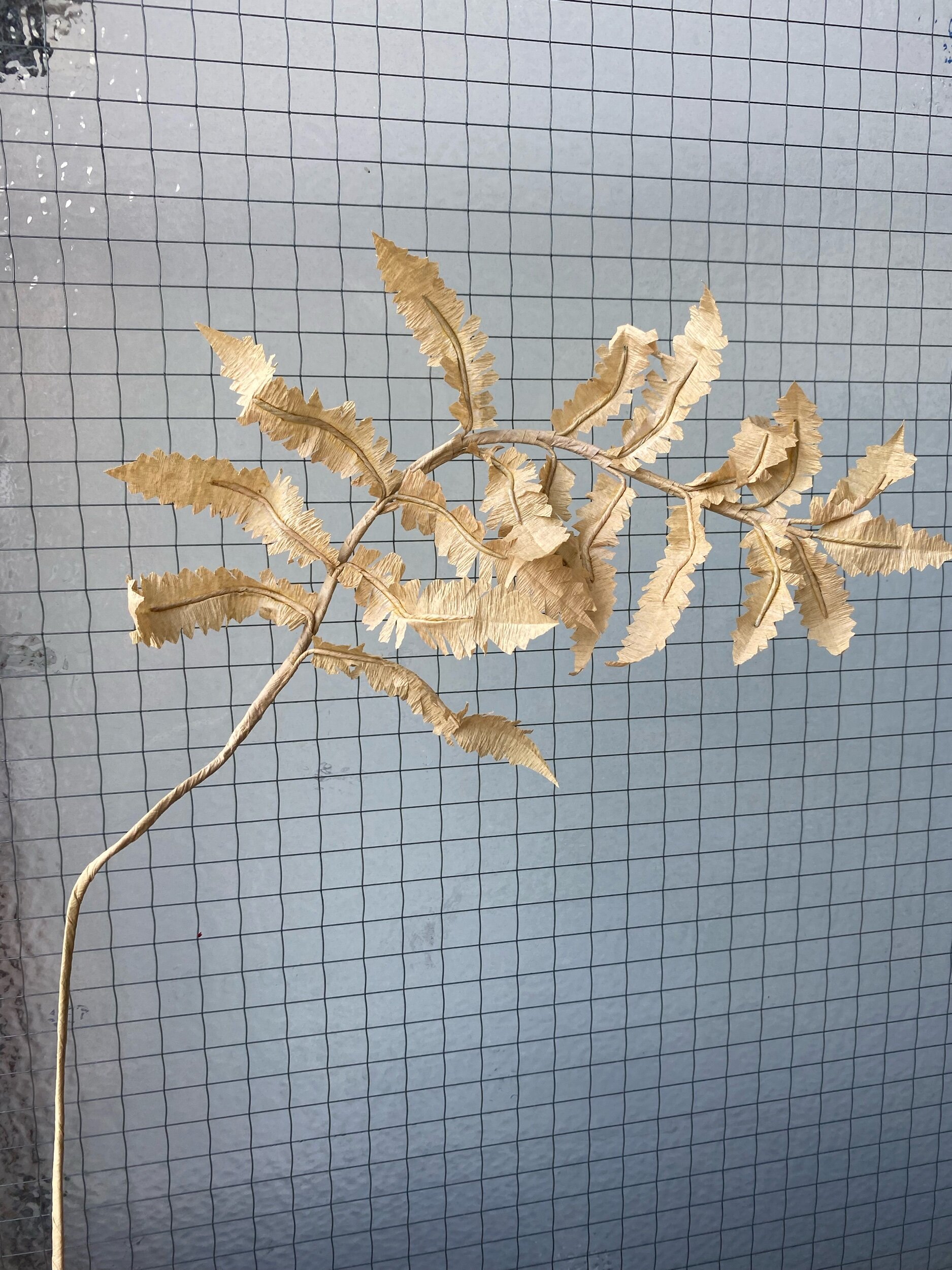 Paper, light-colored fern leaf with multiple leaflets  by Emmeli Kimhi extends diagonally across a black wire grid against a light gray wall.