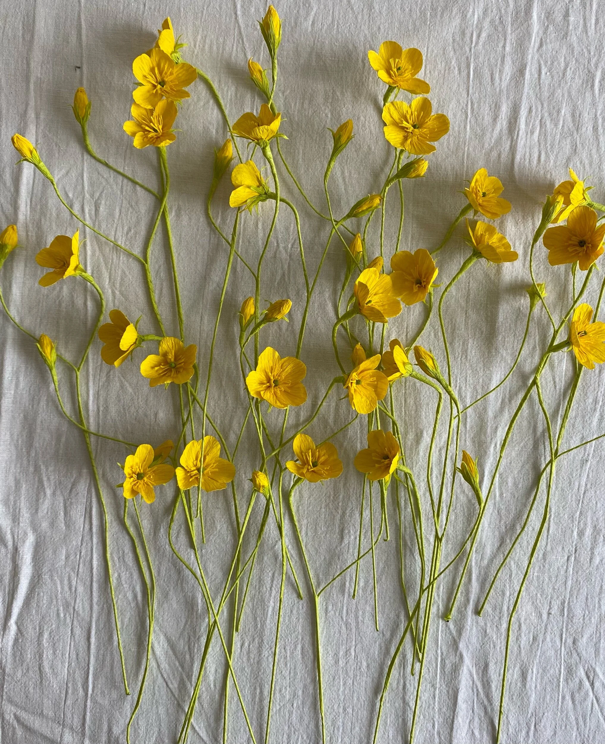Yellow paper flowers by Emmeli Kimhi with long green stems laid on a light-colored fabric background.