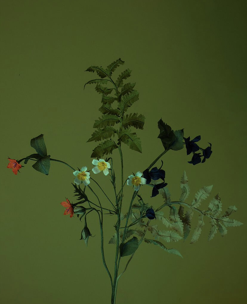 Paper garden flowers, private commission, photograph by Roan Spray.