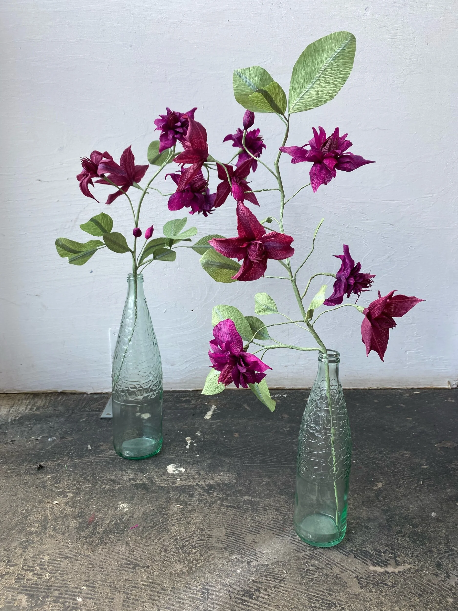 Two glass vases with purple flowers and green leaves by Emmeli Kimhi, placed on a dark textured surface against a plain white wall.