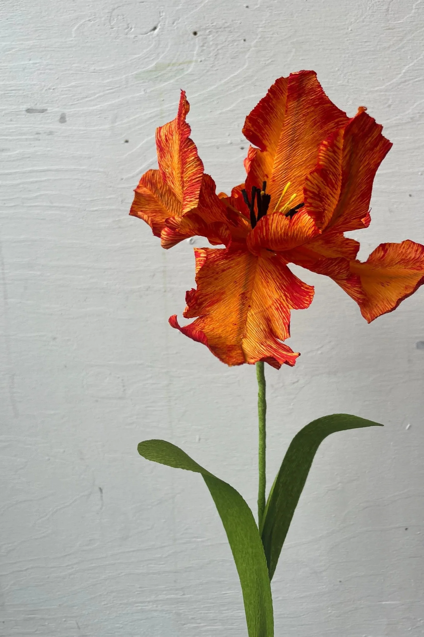 Full stem handmade Parrot Tulip in fiery orange and red with elegant green leaf, created by Emmeli Kimhi