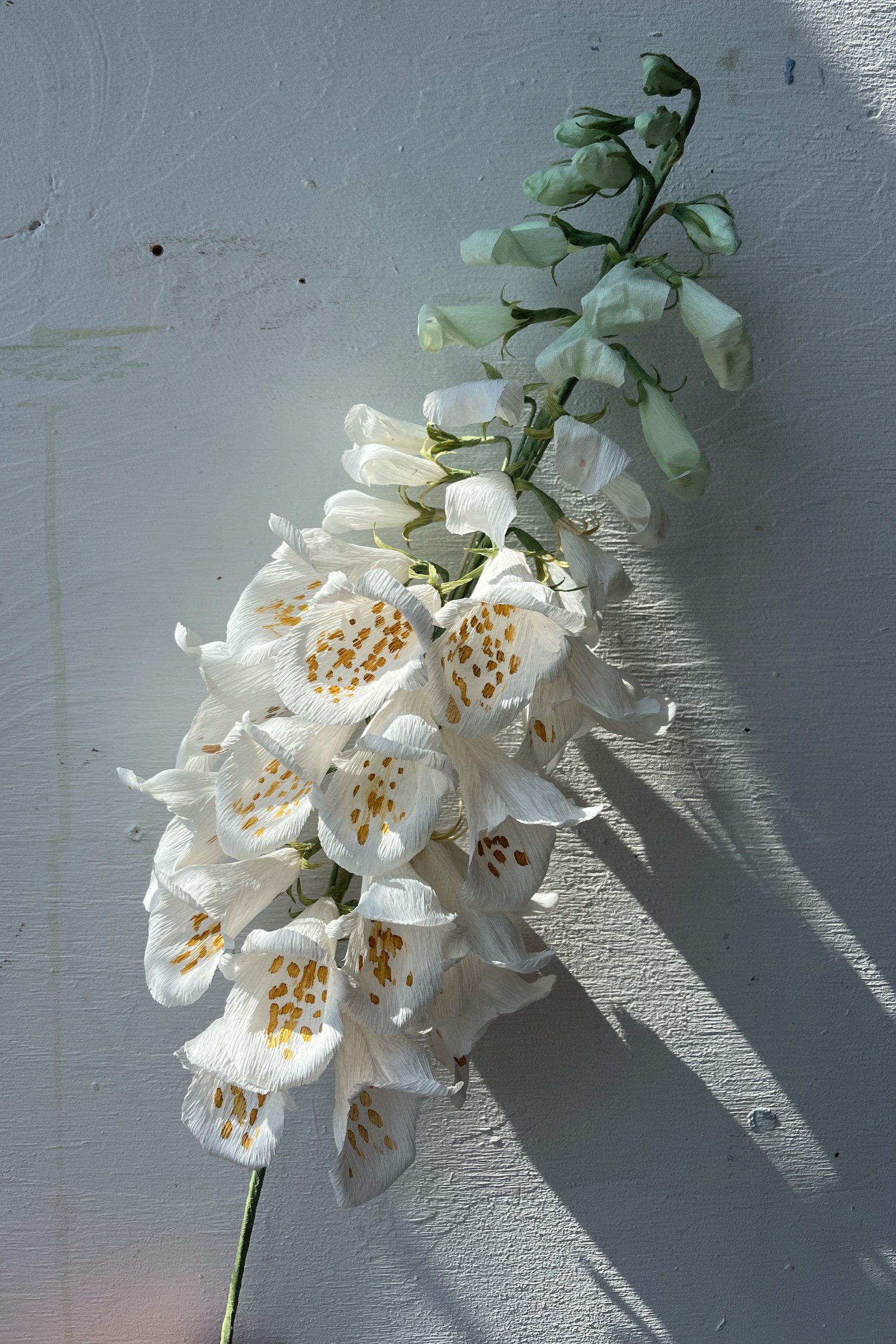 A tall white flower  by Emmeli Kimhi with yellow and orange markings on its petals, hanging against a textured gray wall, casting a shadow.