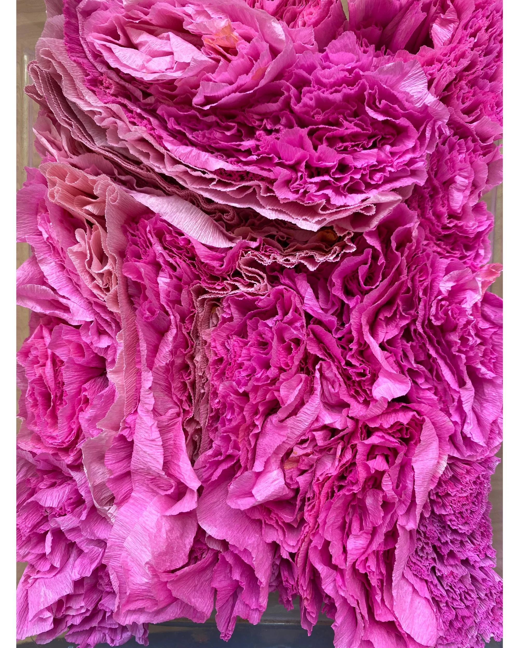 Vibrant shades of pink and magenta, handmade from hand-dyed crepe paper by Emmeli Kimhi