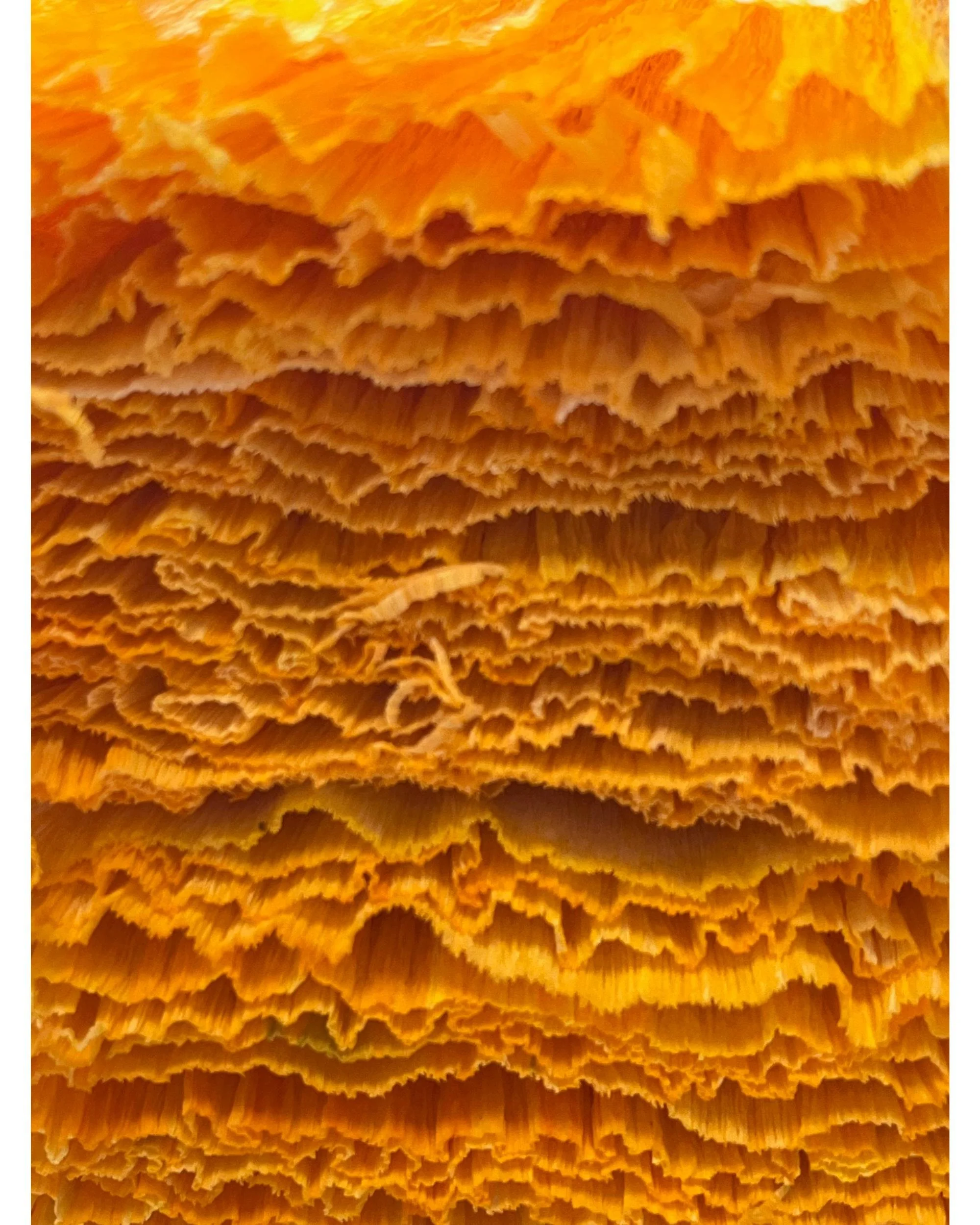 Thick stack of vibrant orange and yellow hand-dyed crepe paper showing rich texture and colour variation, prepared in Emmeli Kimhi’s studio