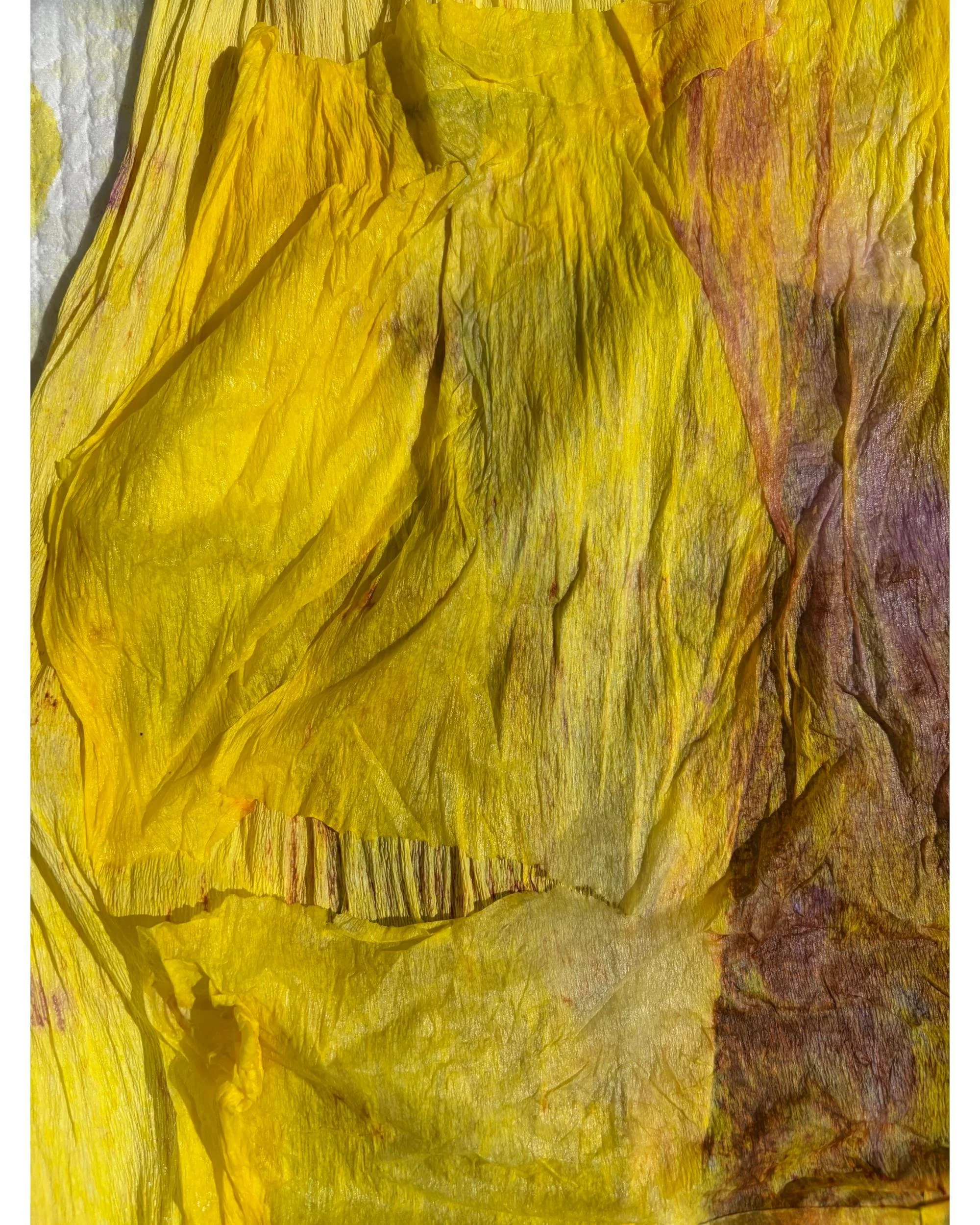 Vibrant yellow and golden hand-dyed crepe paper with organic texture and subtle purple accents, created through experimental dyeing by Emmeli Kimhi